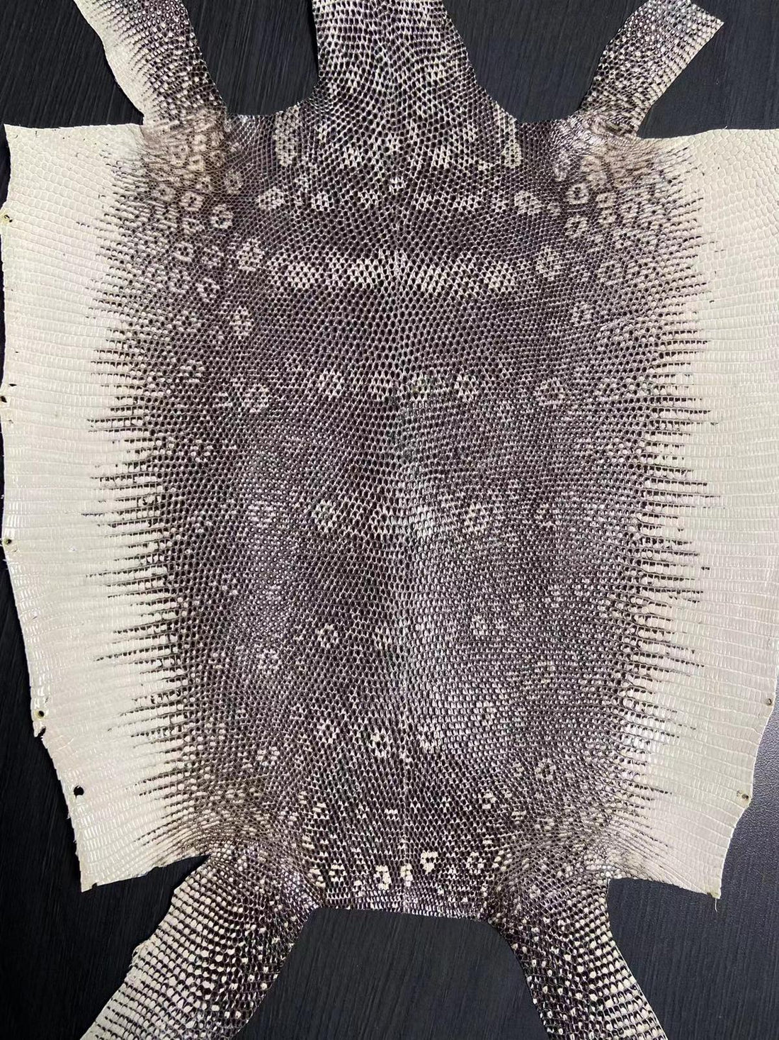 Exotic Skins On A Global Scale: Cashing In On The Growing Skin Demand