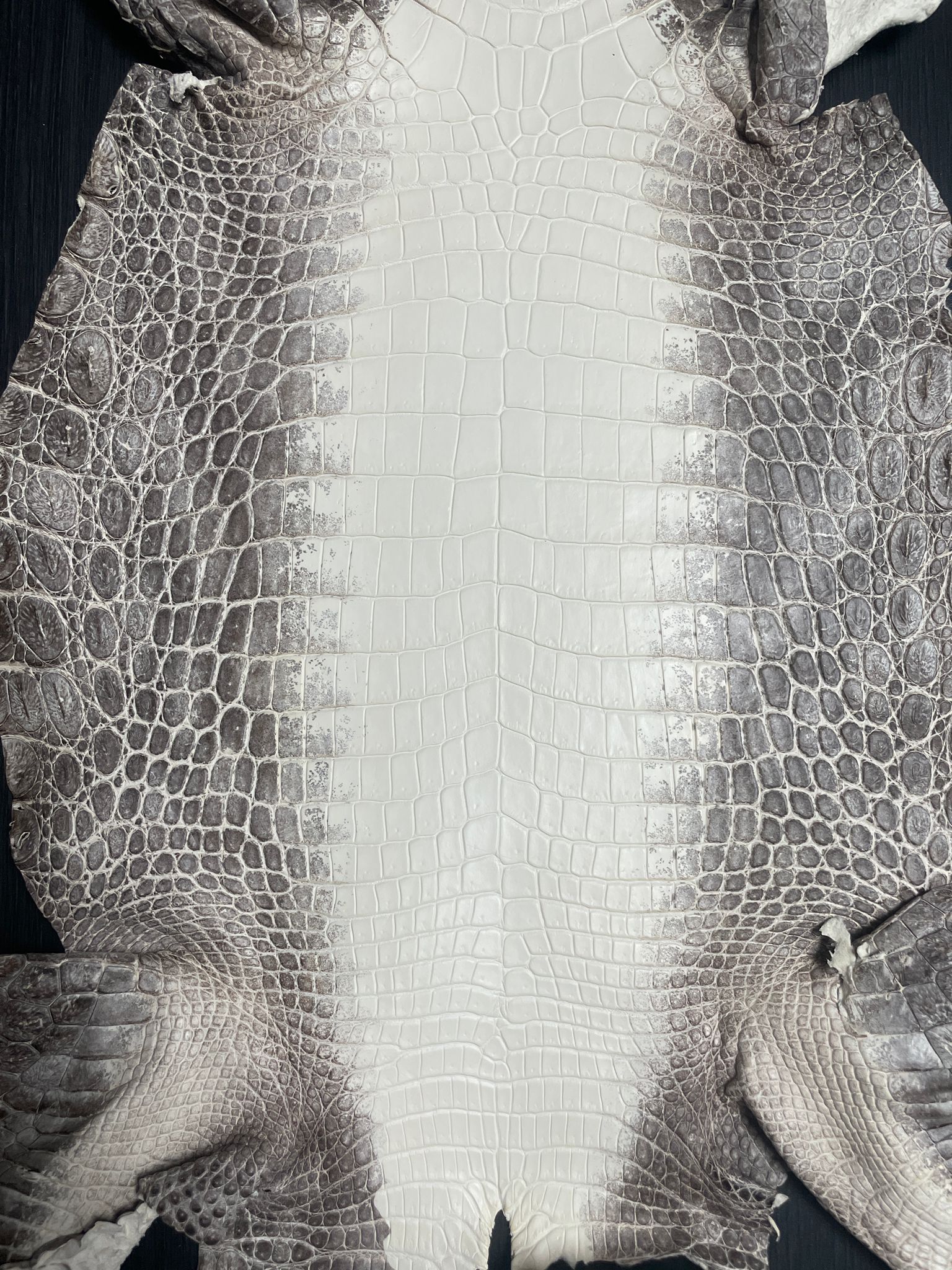 Himalayan crocodile leather sale