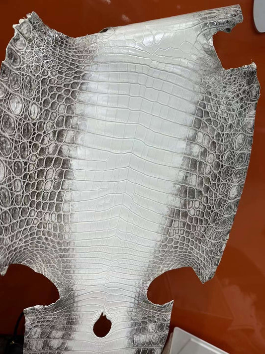 🐊Why Do We Produce Crocodile Leather?🐊