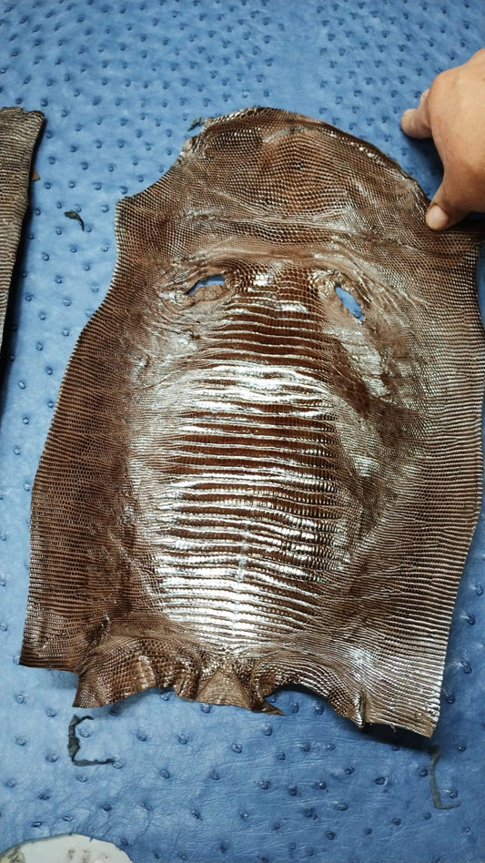 Exotic Lizard Skins: Taking Over Your Fashion Leather Accessories