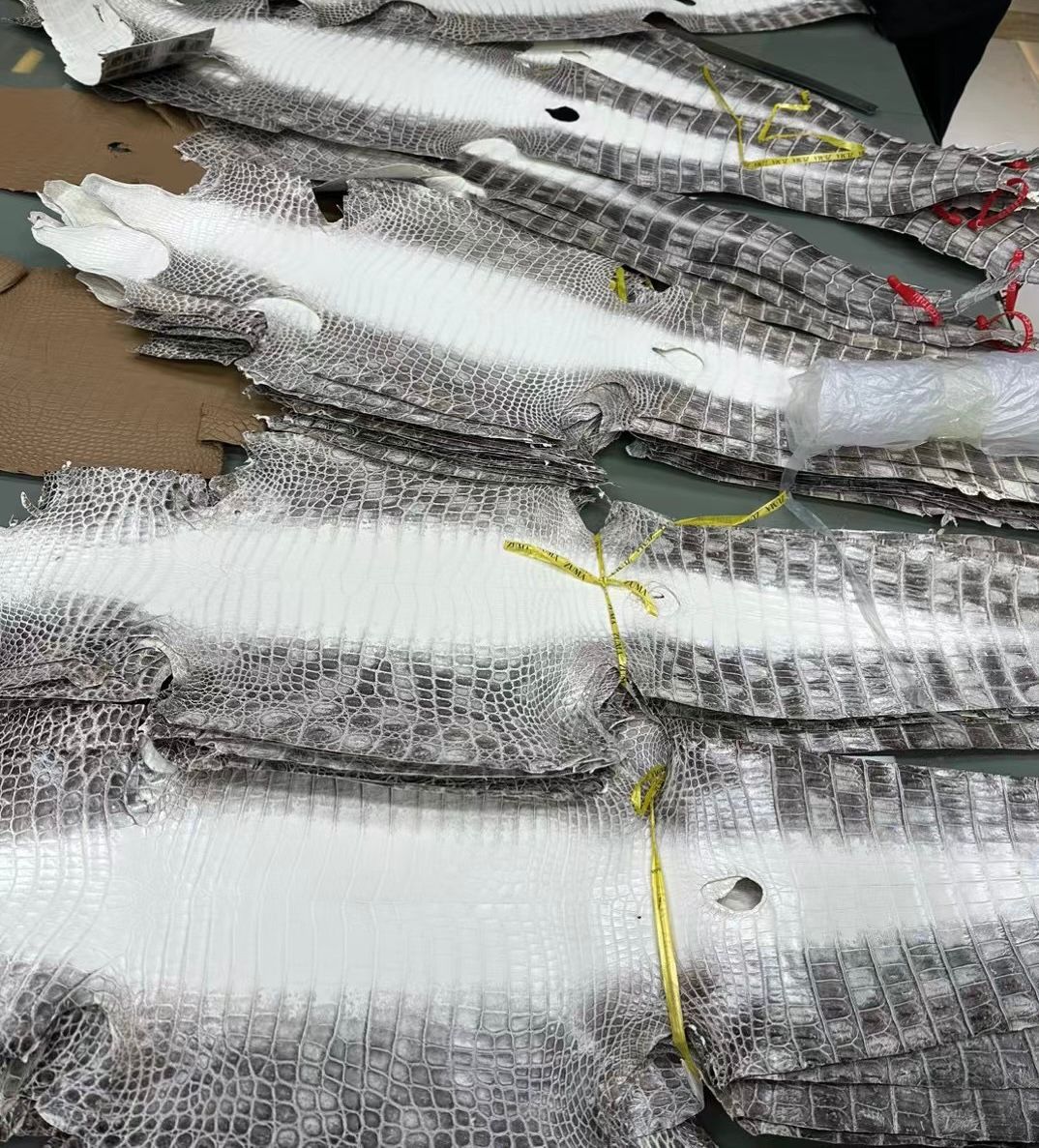Himalayan Crocodile Leather: The World’s Rarest Luxury Material