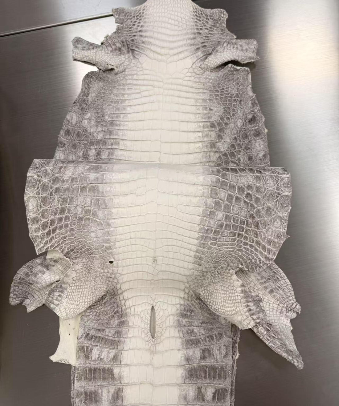 Himalayan Crocodile: The Holy Grail of Exclusive Sustaining Exotic Leathers
