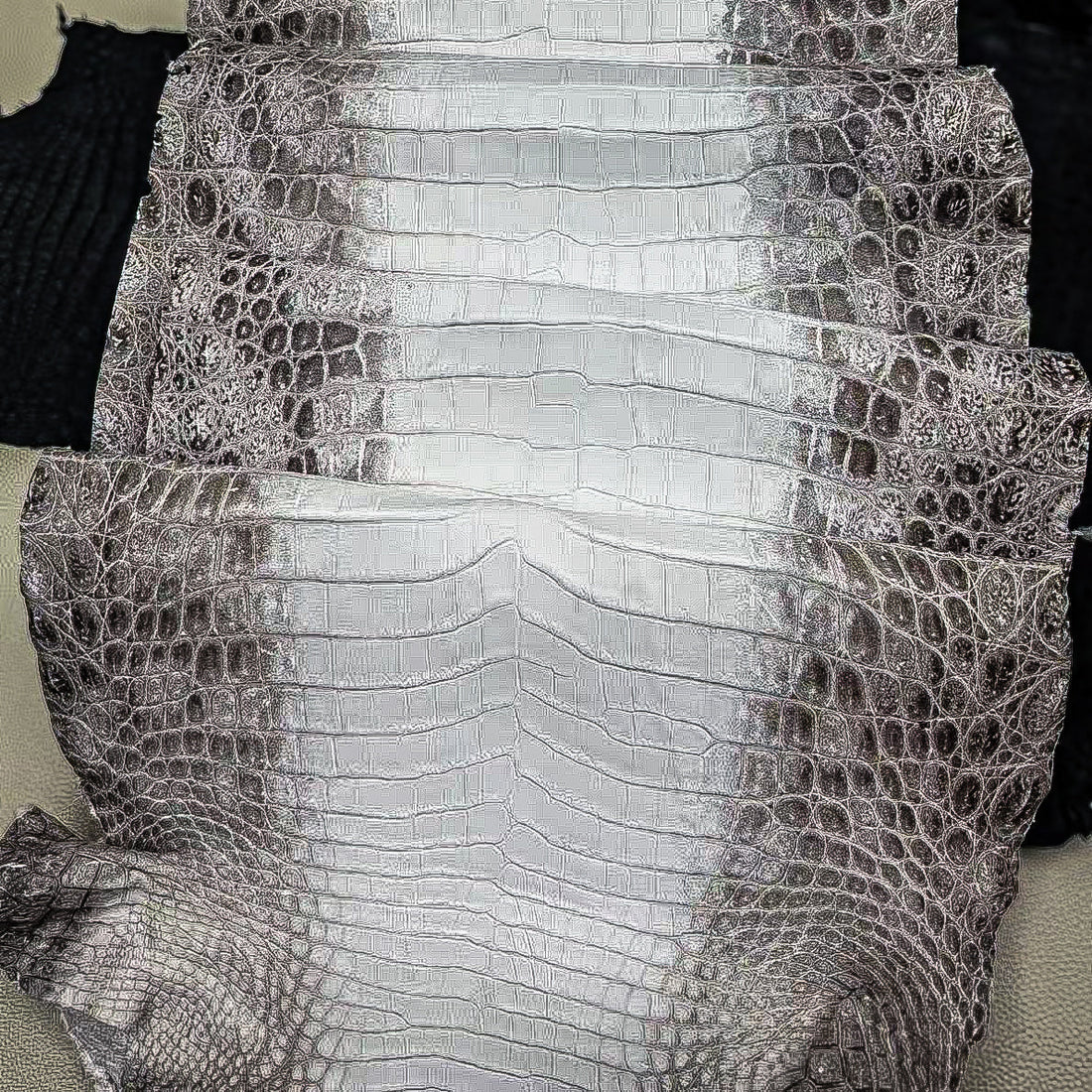 Himalayan Crocodile Exotic Leather Skins - Why it's So Exclusively Desired, Cherished & Loved w/ Forever Lasting High-Value.