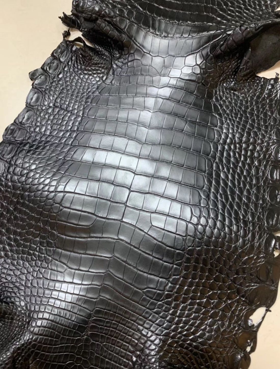 All About Niloticus Crocodile Exotic Leather Skins For Leathercrafting & BeSpoke Leather Goods