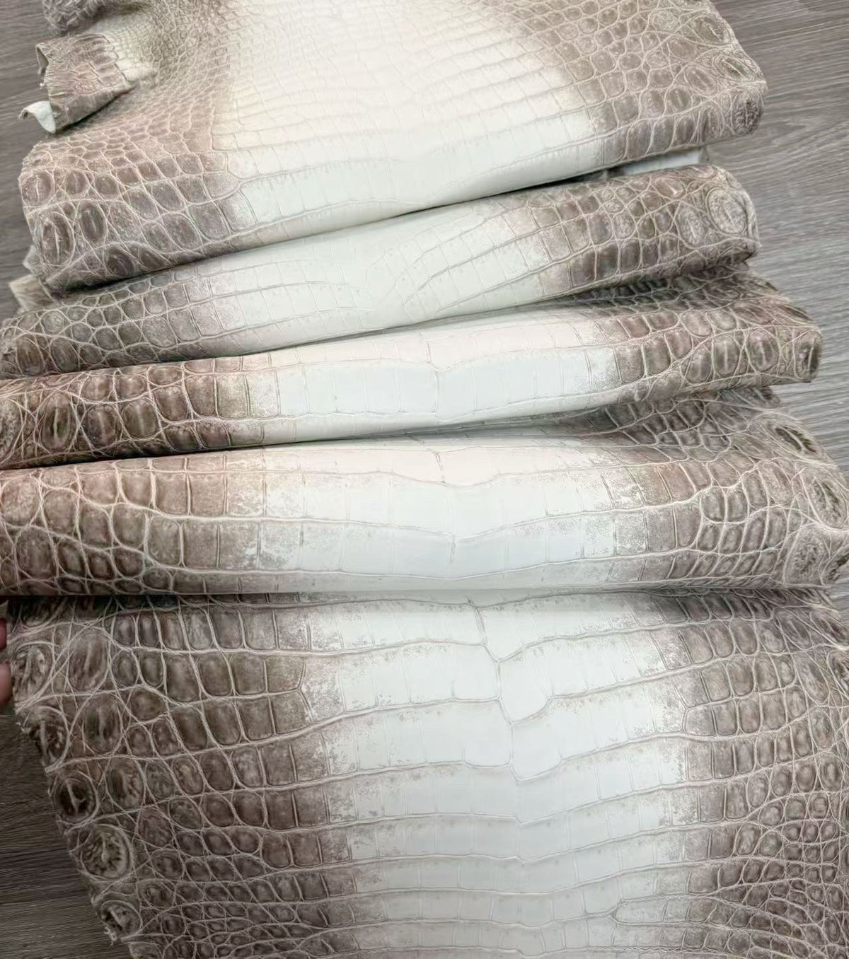 Himalayan Croc Matte Skin (Brown) - Sunny Exotic Leathers