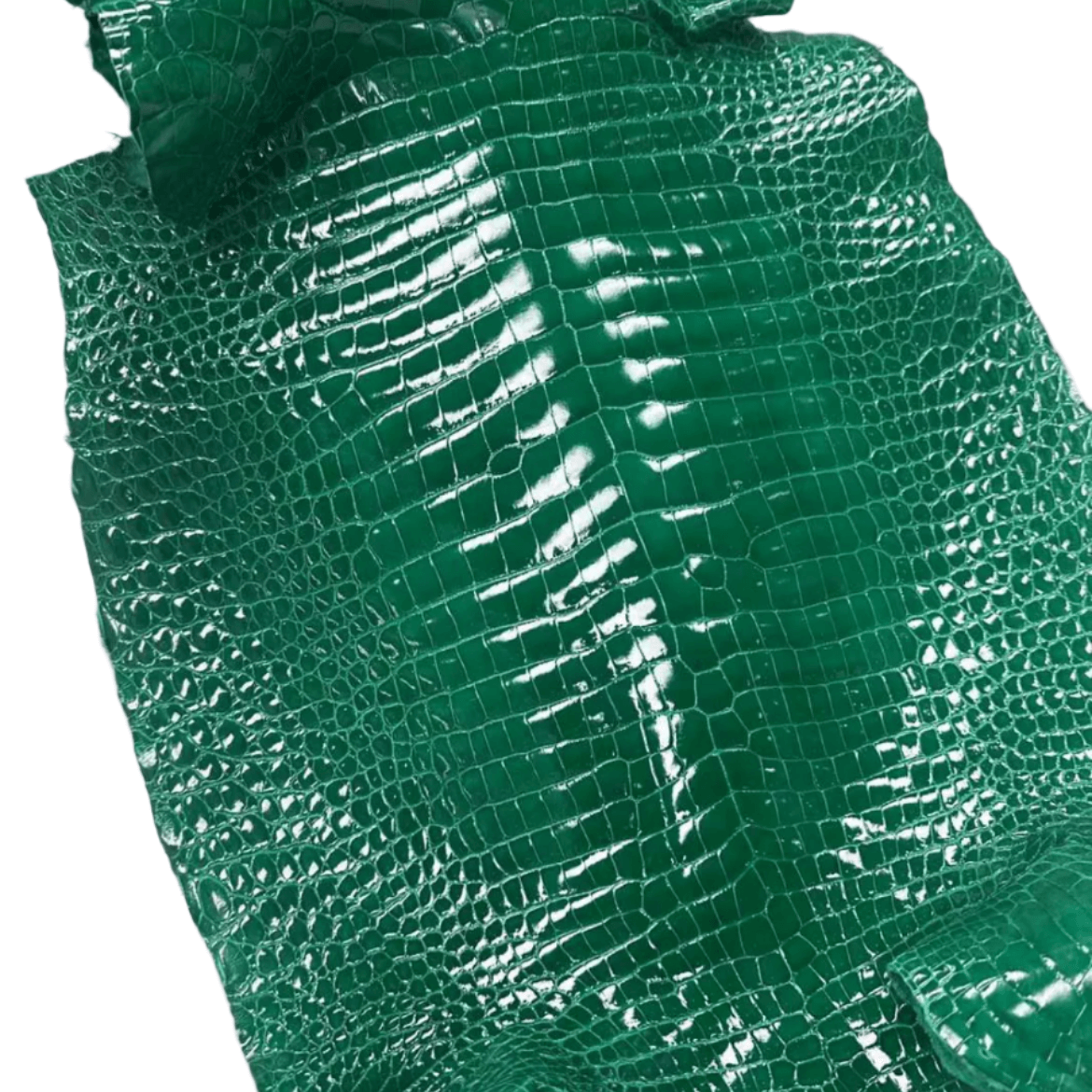 Glazed Shiny Porosus Finishes - Sunny Exotic Leathers