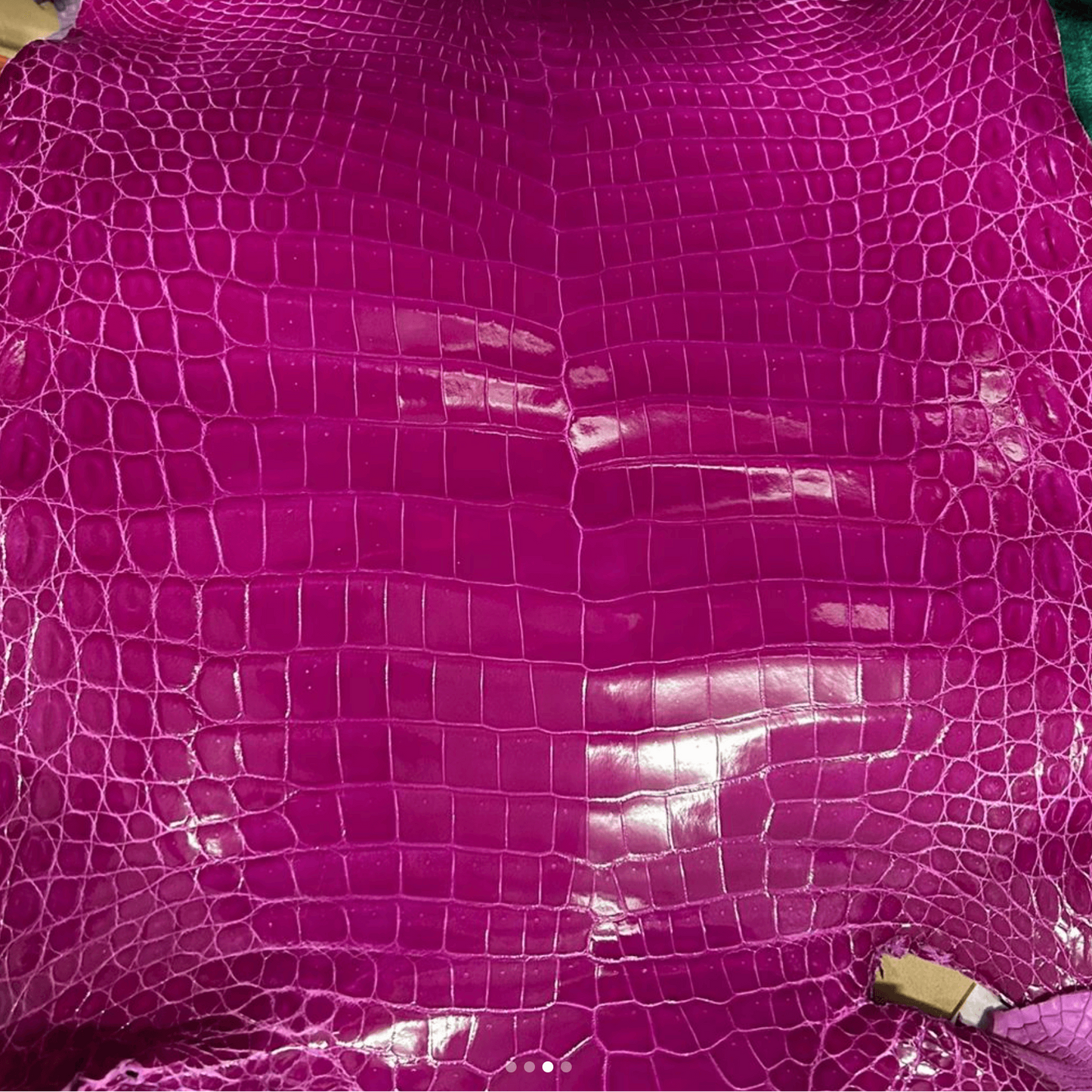 Glazed Shiny Porosus Finishes - Sunny Exotic Leathers