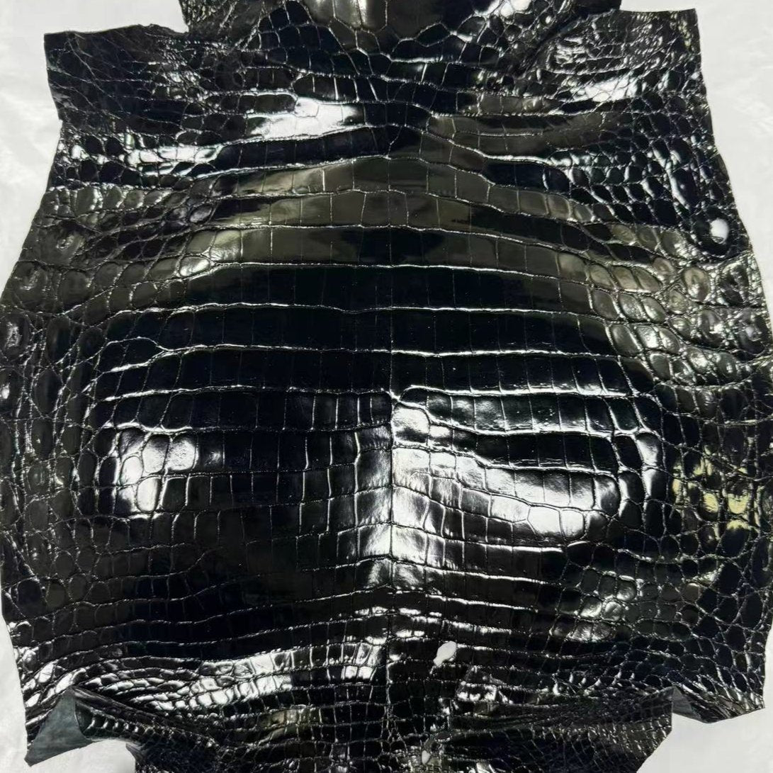 Glazed Shiny Alligator
