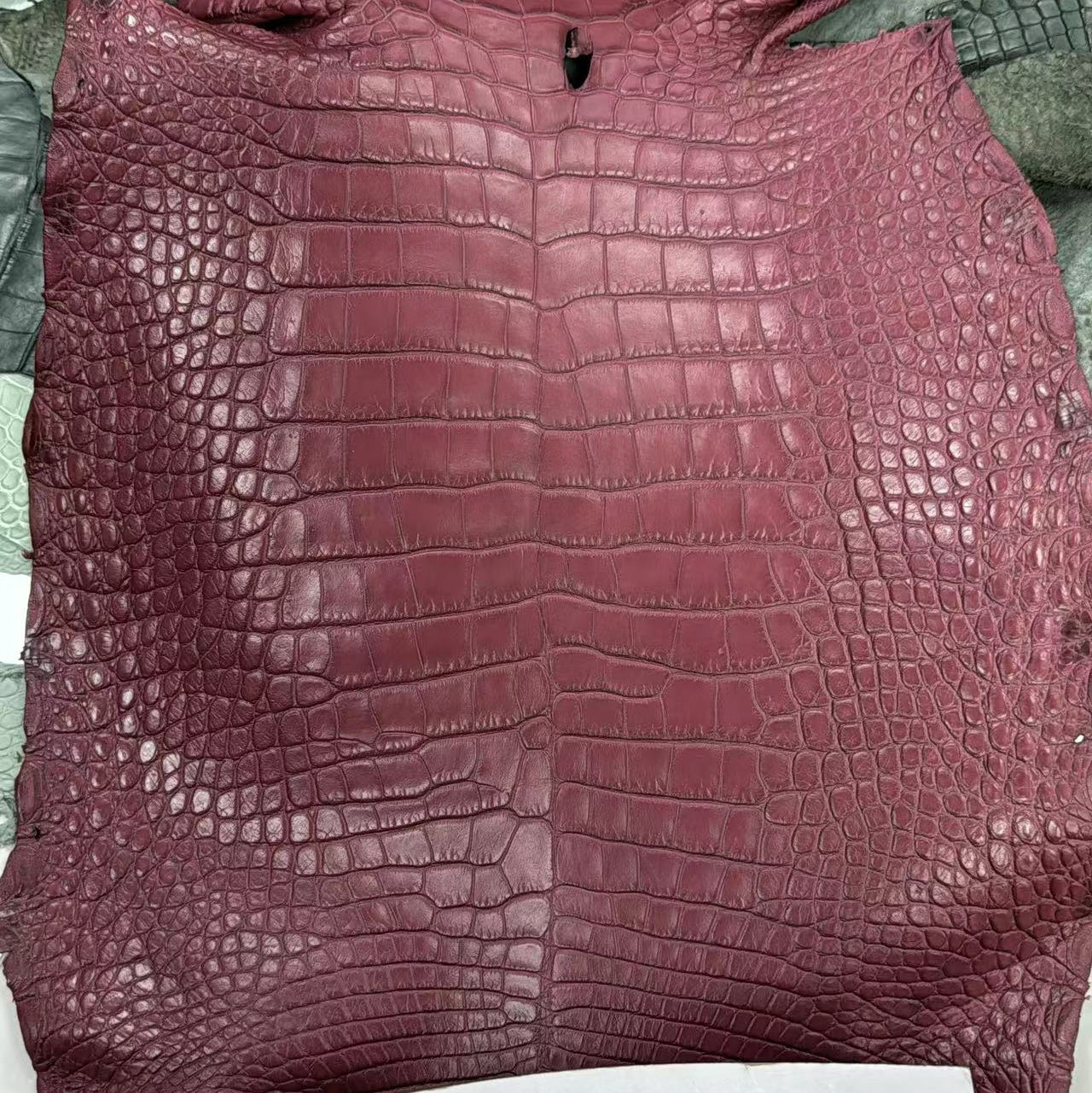 Grade 1 Matte Gators