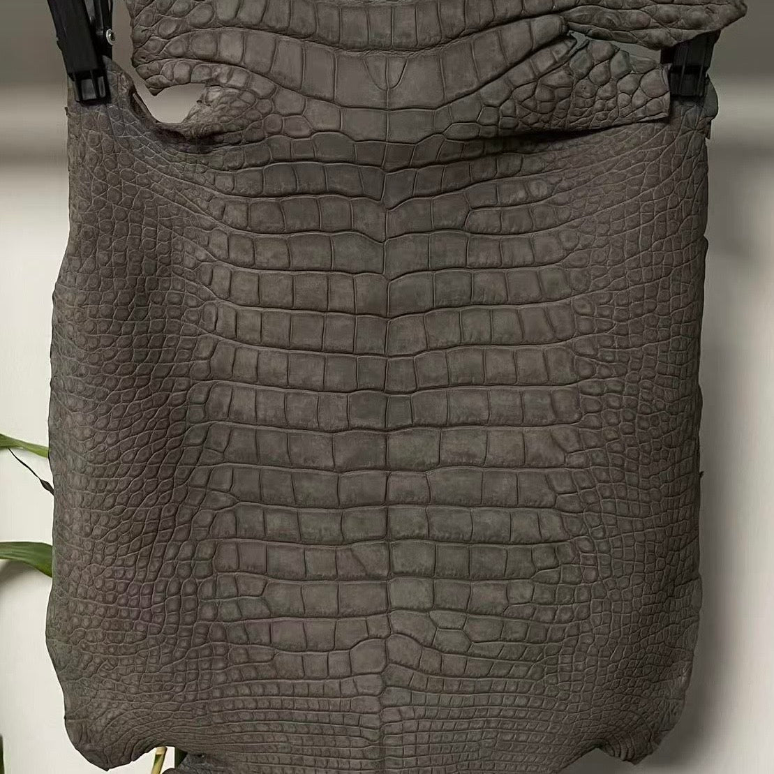 Nubuck Gators - Sunny Exotic Leathers