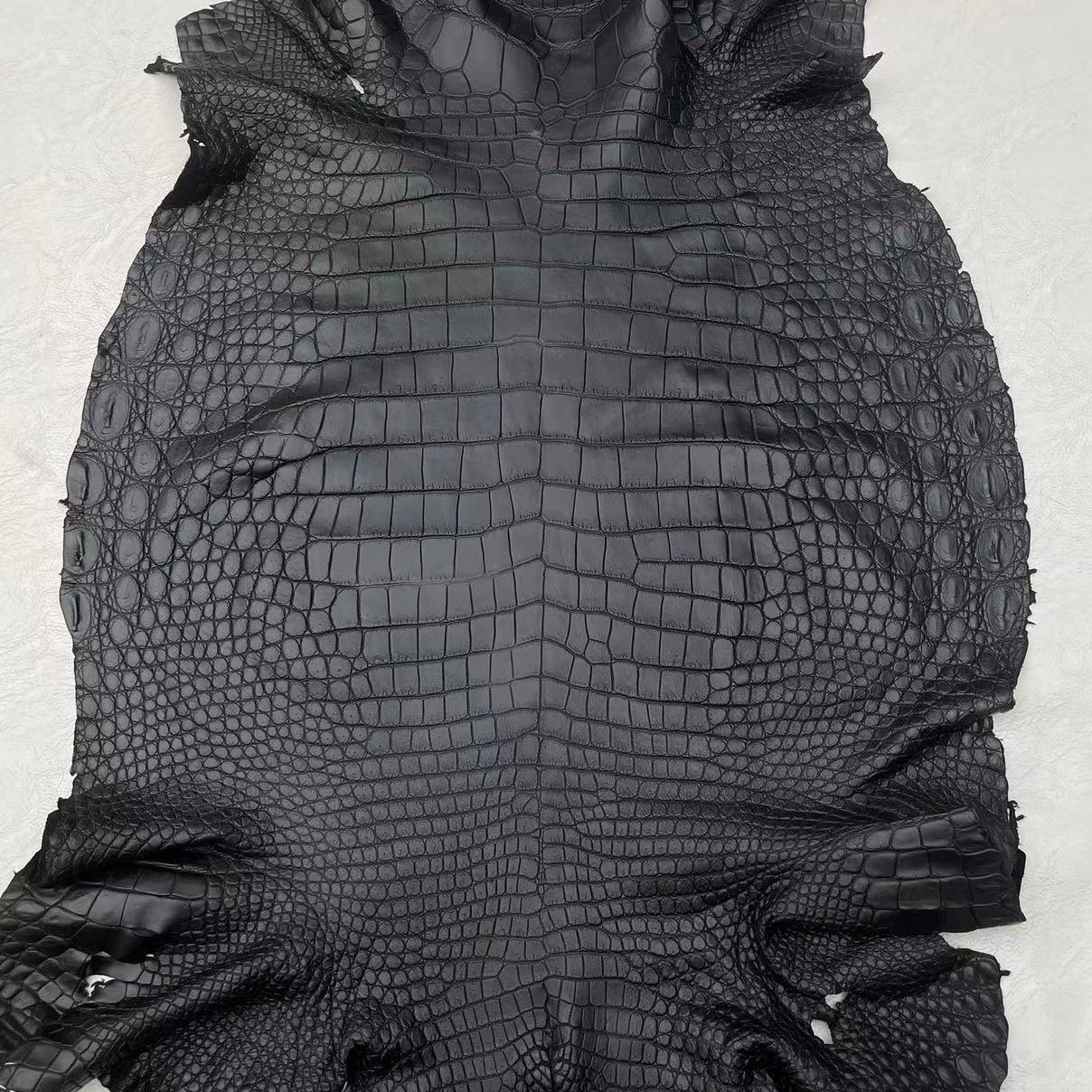 Black Matte Gator - Sunny Exotic Leathers