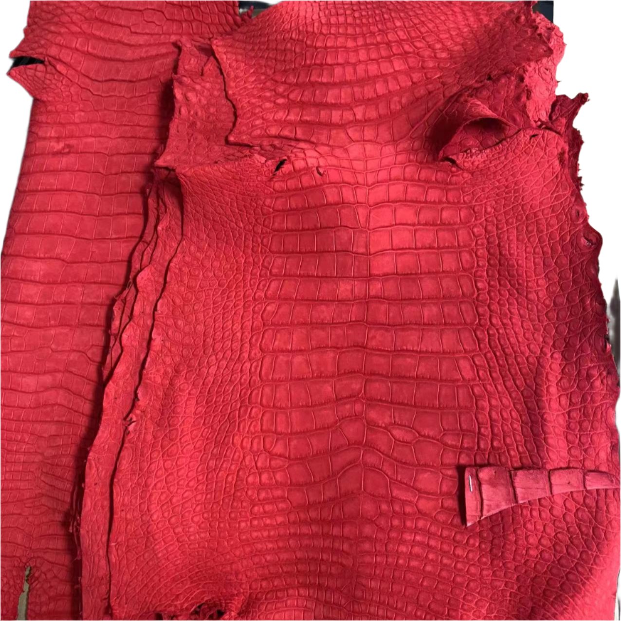 Nubuck Alligators - Sunny Exotic Leathers