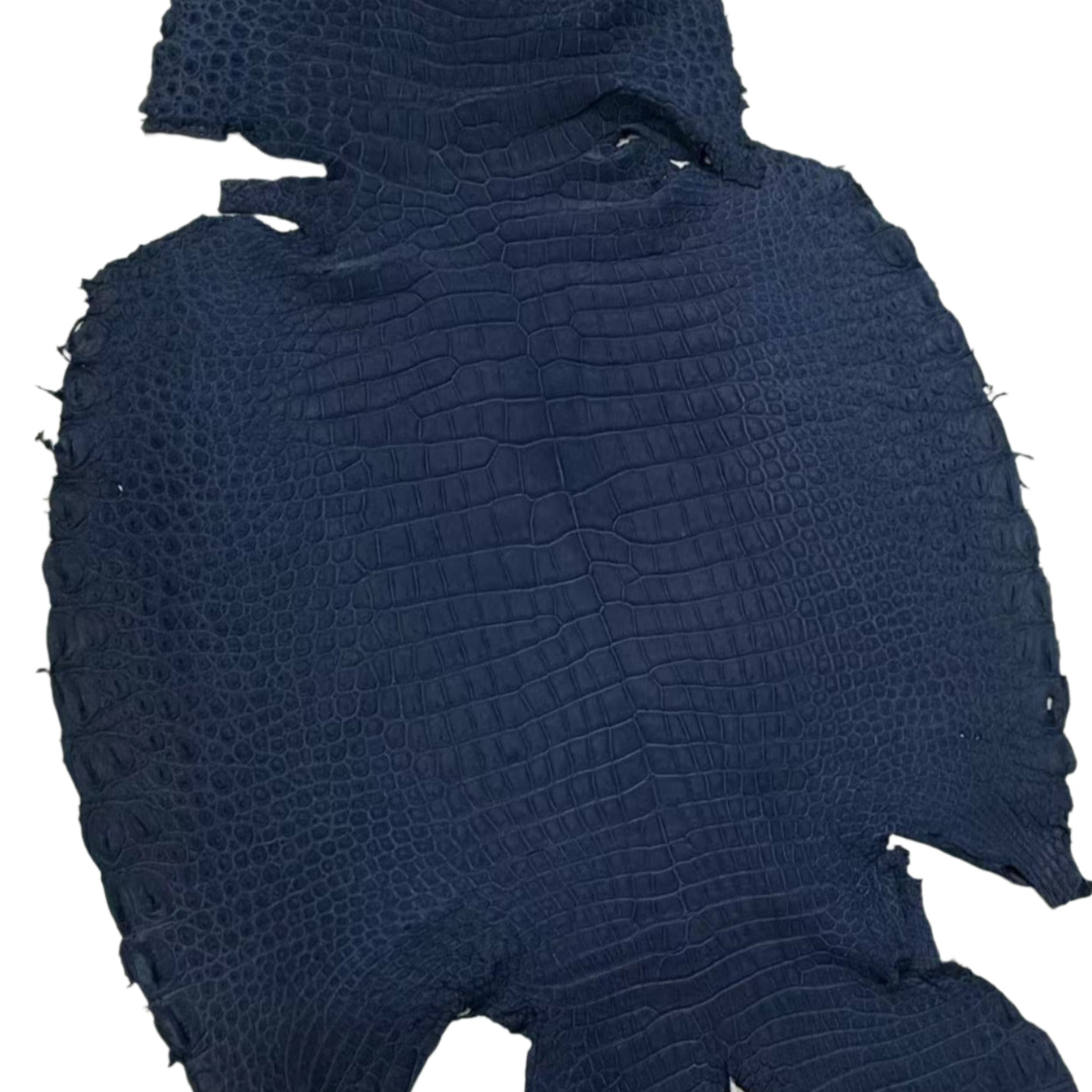 Nubuck Alligators - Sunny Exotic Leathers