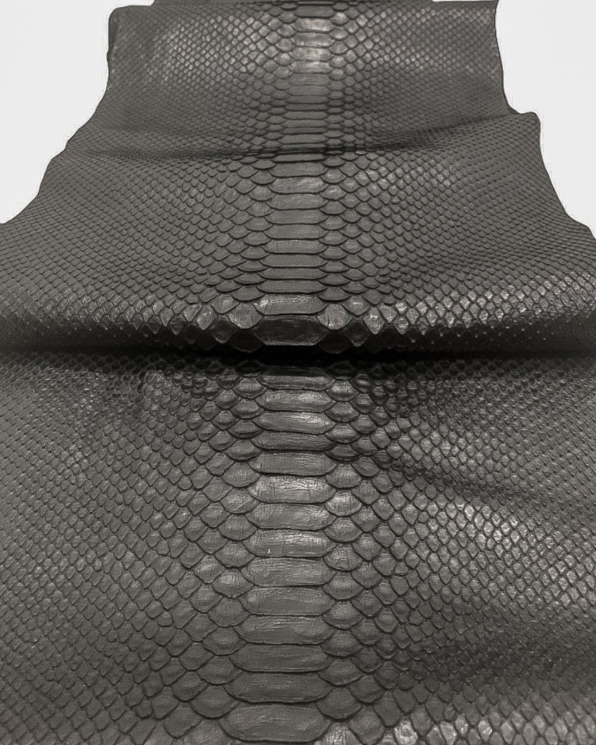Black Finished Pythons - Sunny Exotic Leathers