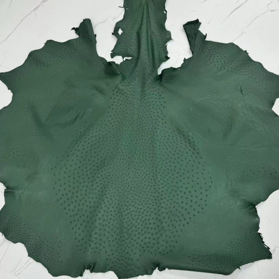 Ostrich Exotic Leather Skin (Grade 1) - Sunny Exotic Leathers
