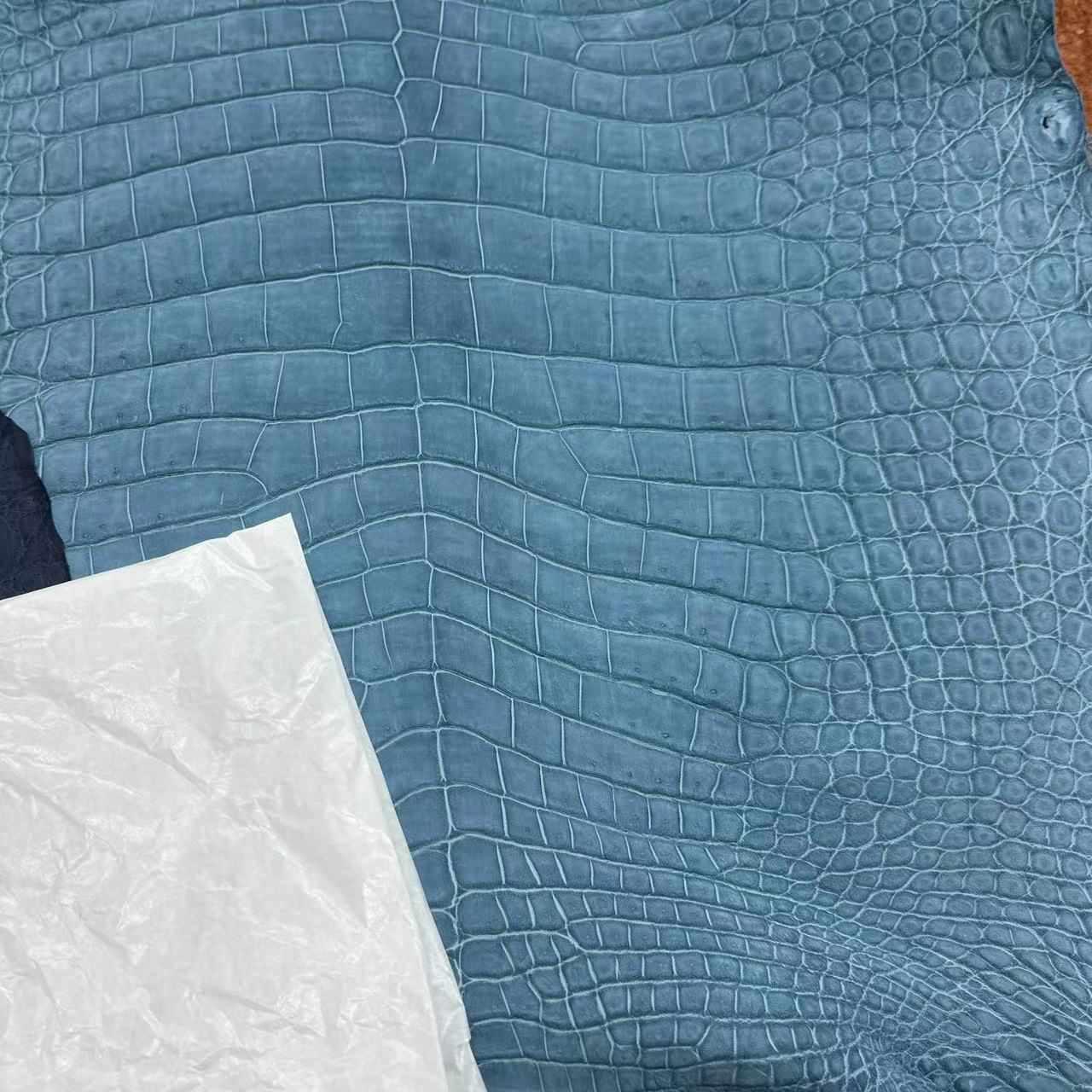 Nubuck Alligators - Sunny Exotic Leathers