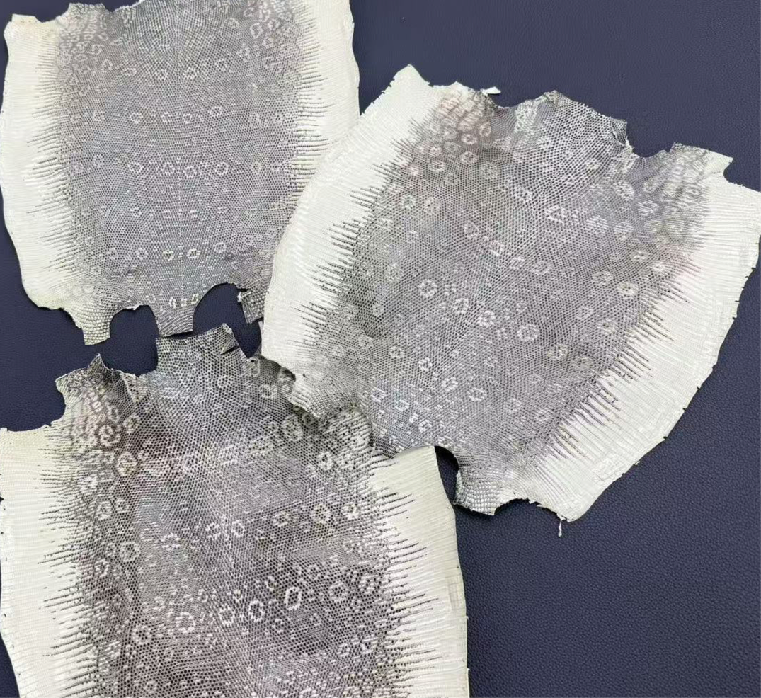 Natural Lizard (Grade 1) - Sunny Exotic Leathers