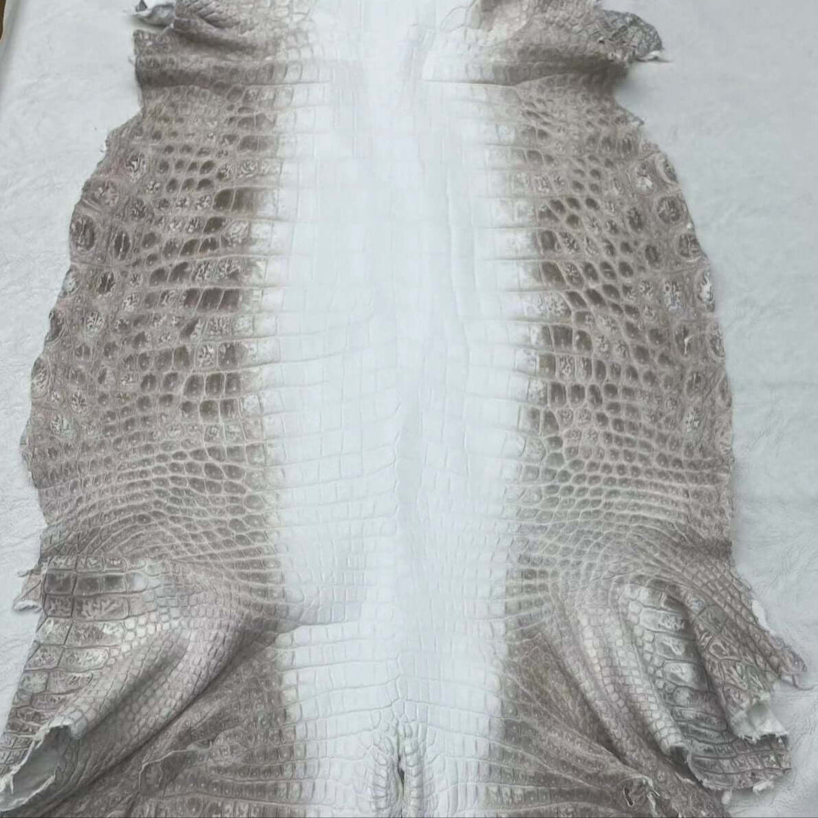 Exotic leather hides for crafts, genuine python leather for bags, high-quality leathercrafting materials, soft nubuck alligator leather, exotic leather for fashion accessories, custom leather skins for upholstery, durable crocodile leather wallets, bespok