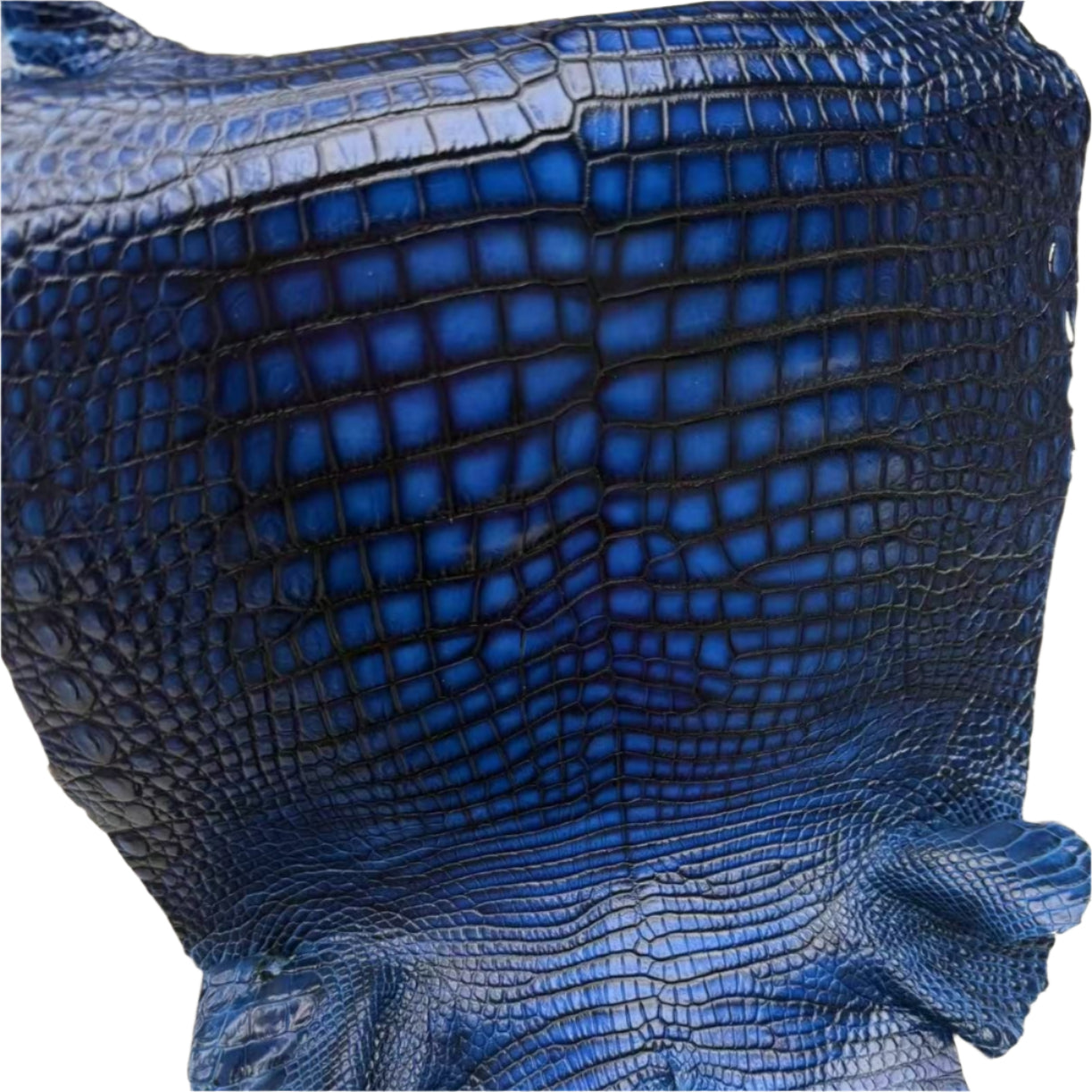 Patina Gators - Sunny Exotic Leathers