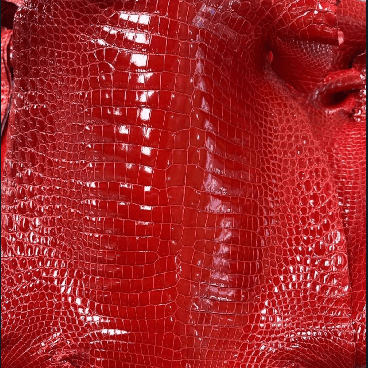 Glazed Shiny Porosus Finishes - Sunny Exotic Leathers