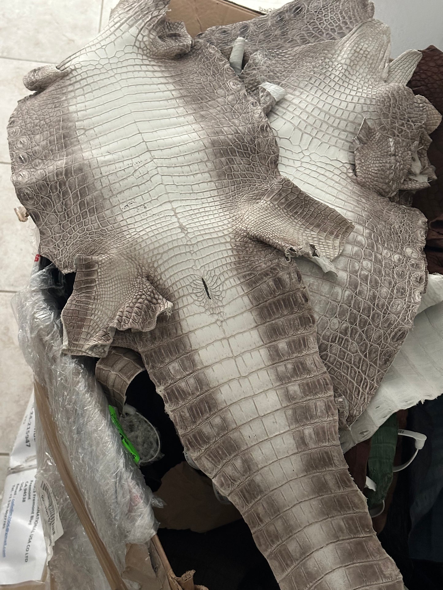 Himalayan Grade 2/3 Matte Croc Skins (Lower Prices) - Sunny Exotic Leathers