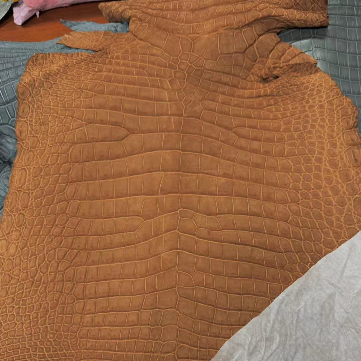 Nubuck Nile Crocodile