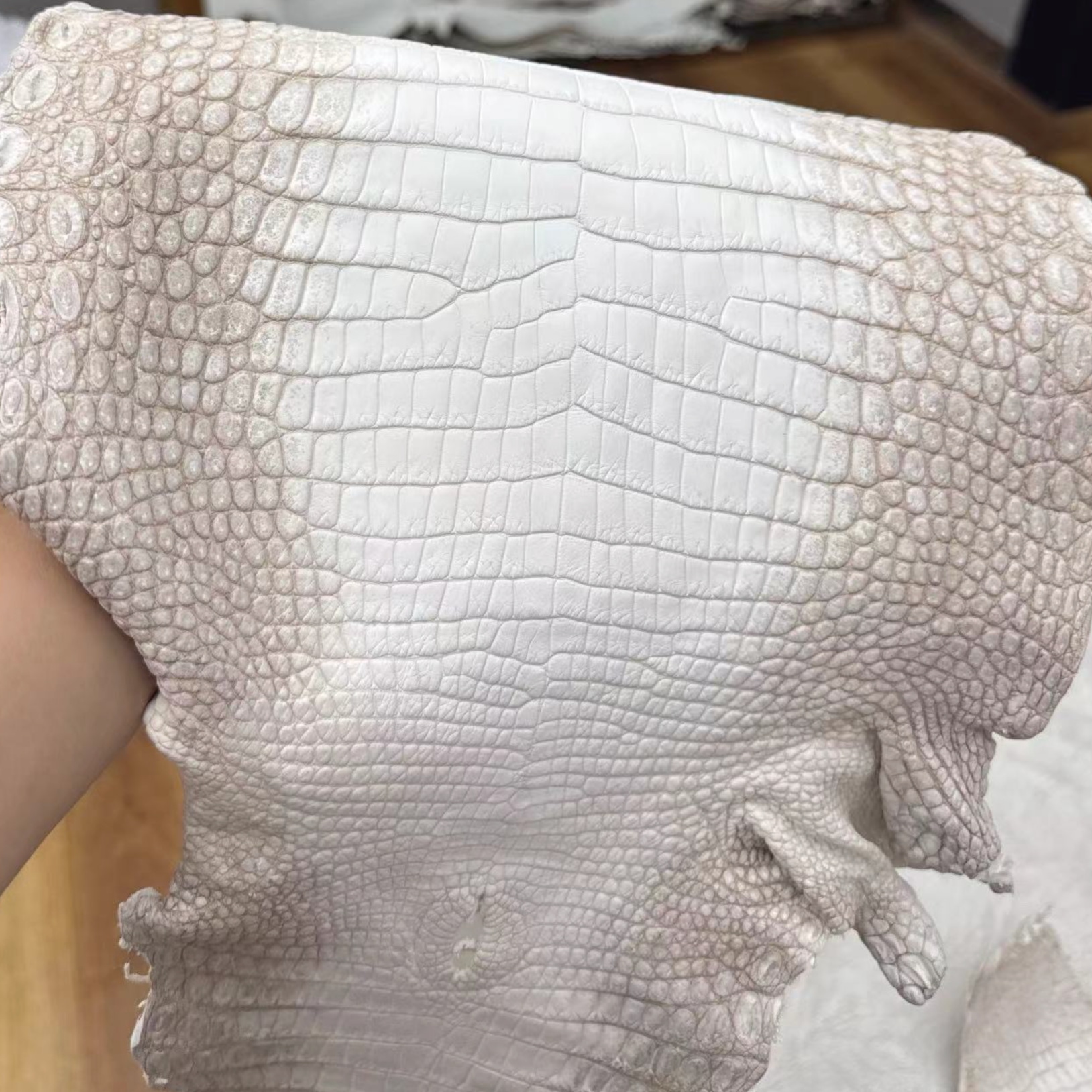 Himalayan crocodile leather handbag Premium Himalayan crocodile skin wallet Exotic luxury leather from Himalayan crocodile Unique Himalayan crocodile leather belt Himalayan crocodile skin footwear Sustainable Himalayan crocodile hide for fashion Custom-co