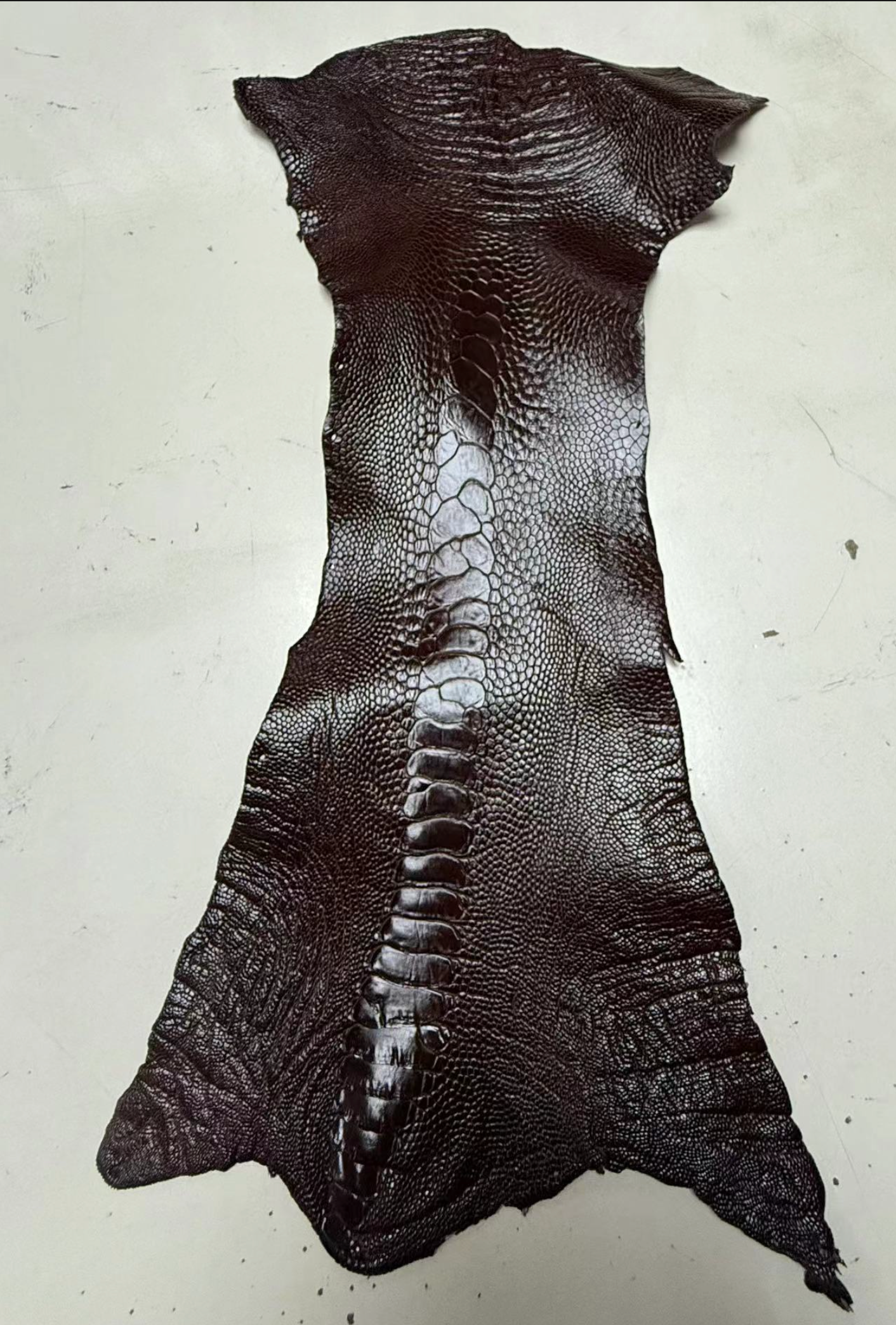 Ostrich Leg Exotic Leather - Sunny Exotic Leathers