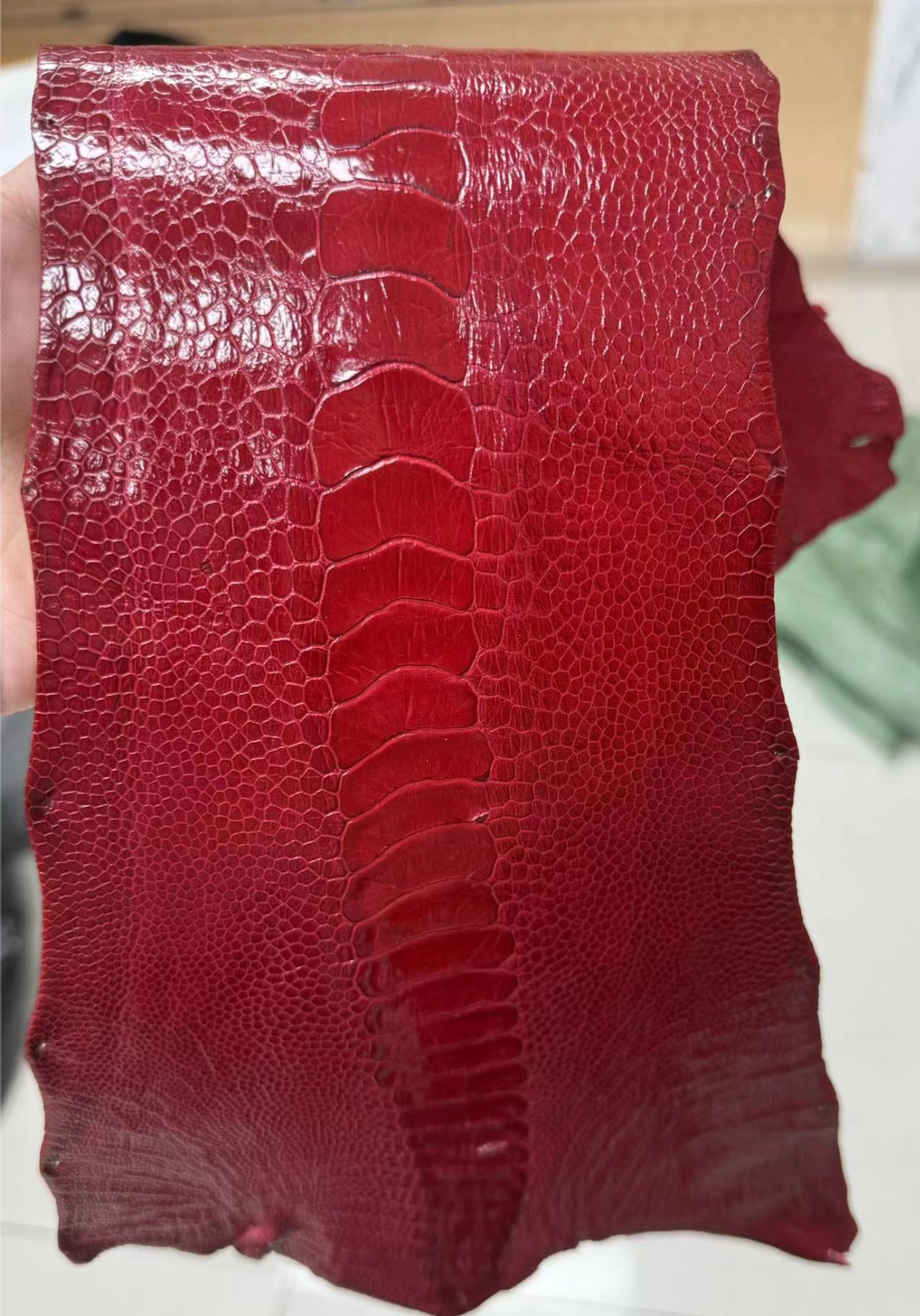 Ostrich Leg Exotic Leather - Sunny Exotic Leathers