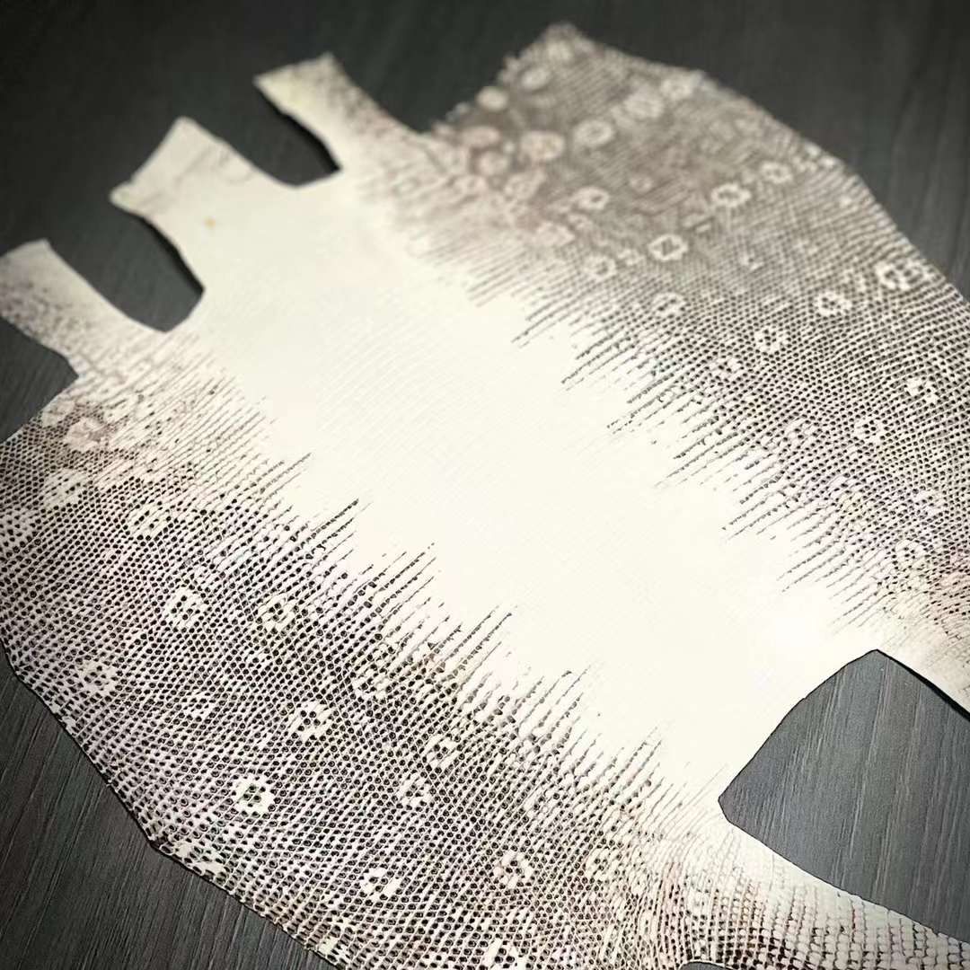 Lizard Finished Skin UnBleached Natural Color - Sunny Exotic Leathers