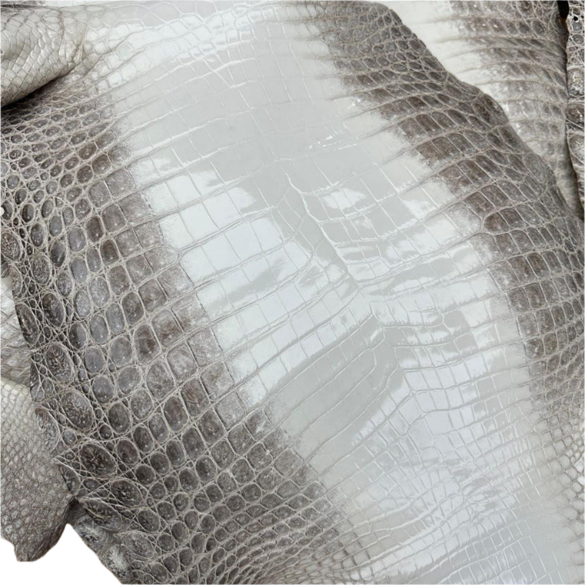 Himalayan crocodile leather handbag Premium Himalayan crocodile skin wallet Exotic luxury leather from Himalayan crocodile Unique Himalayan crocodile leather belt Himalayan crocodile skin footwear Sustainable Himalayan crocodile hide for fashion Custom-co