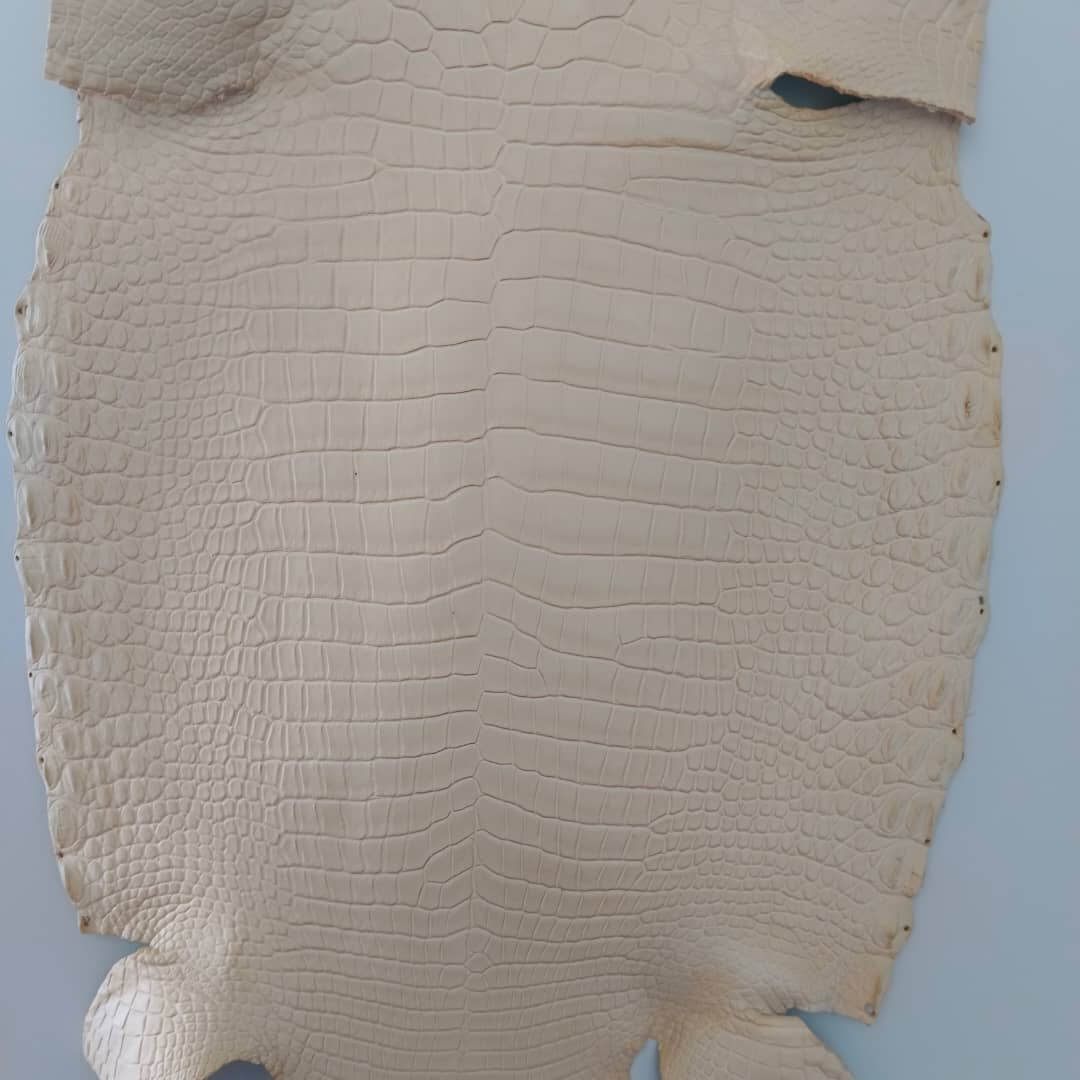 Matte Colored Porosus - Sunny Exotic Leathers