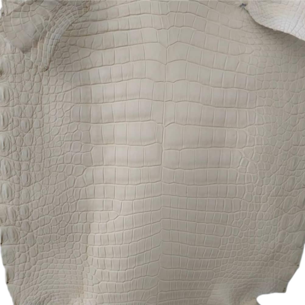 Matte Colored Porosus - Sunny Exotic Leathers