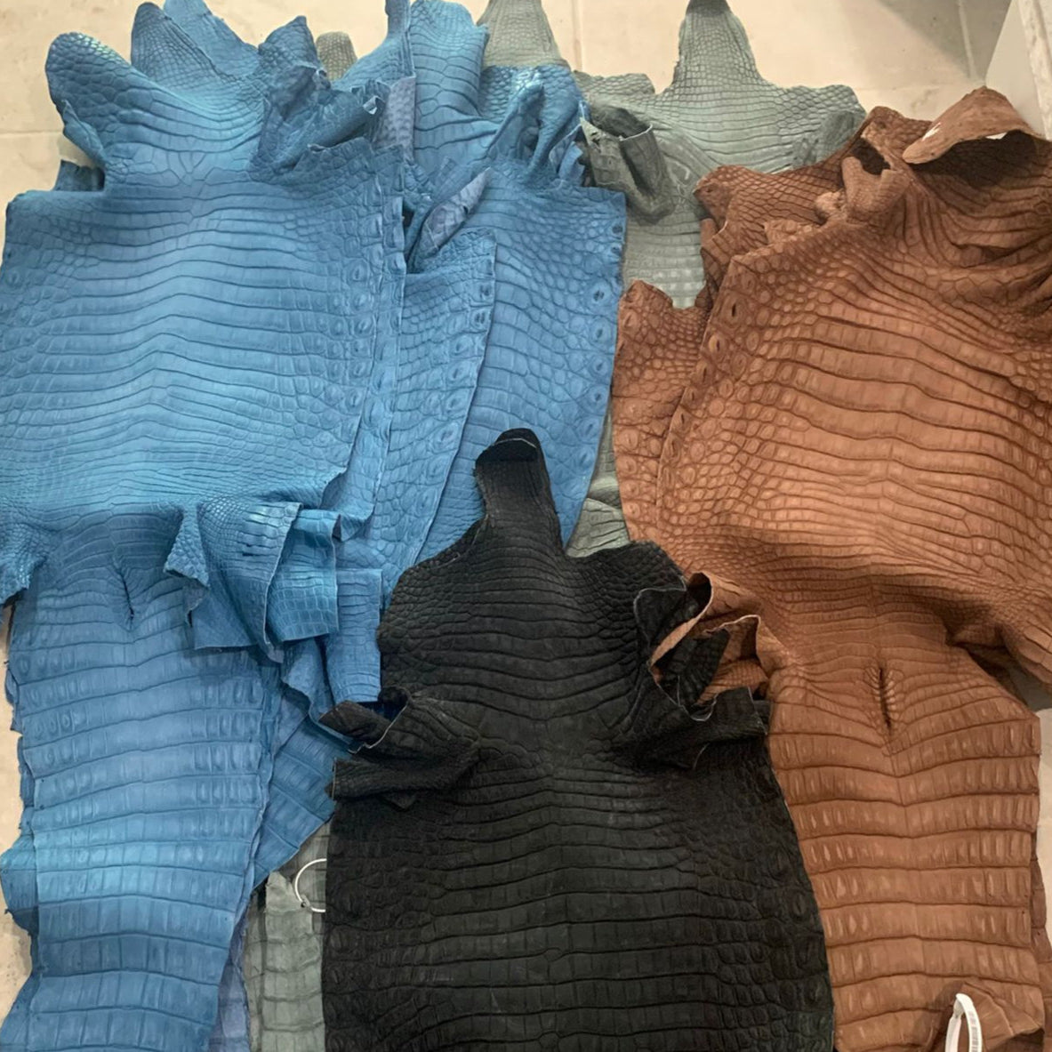 Blue Nubuck Gator - Sunny Exotic Leathers