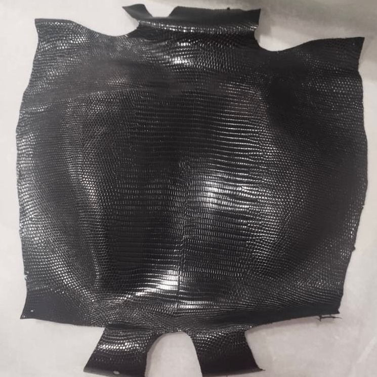 Black Ring Lizards - Sunny Exotic Leathers