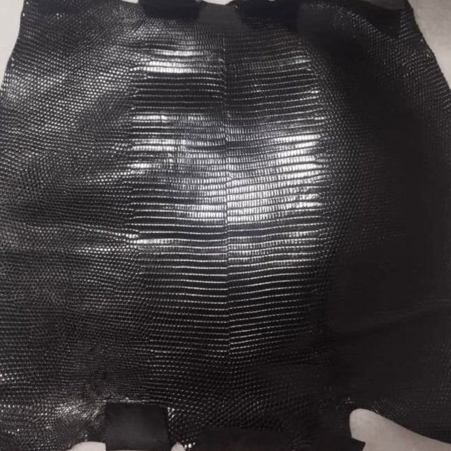 Black Ring Lizards - Sunny Exotic Leathers