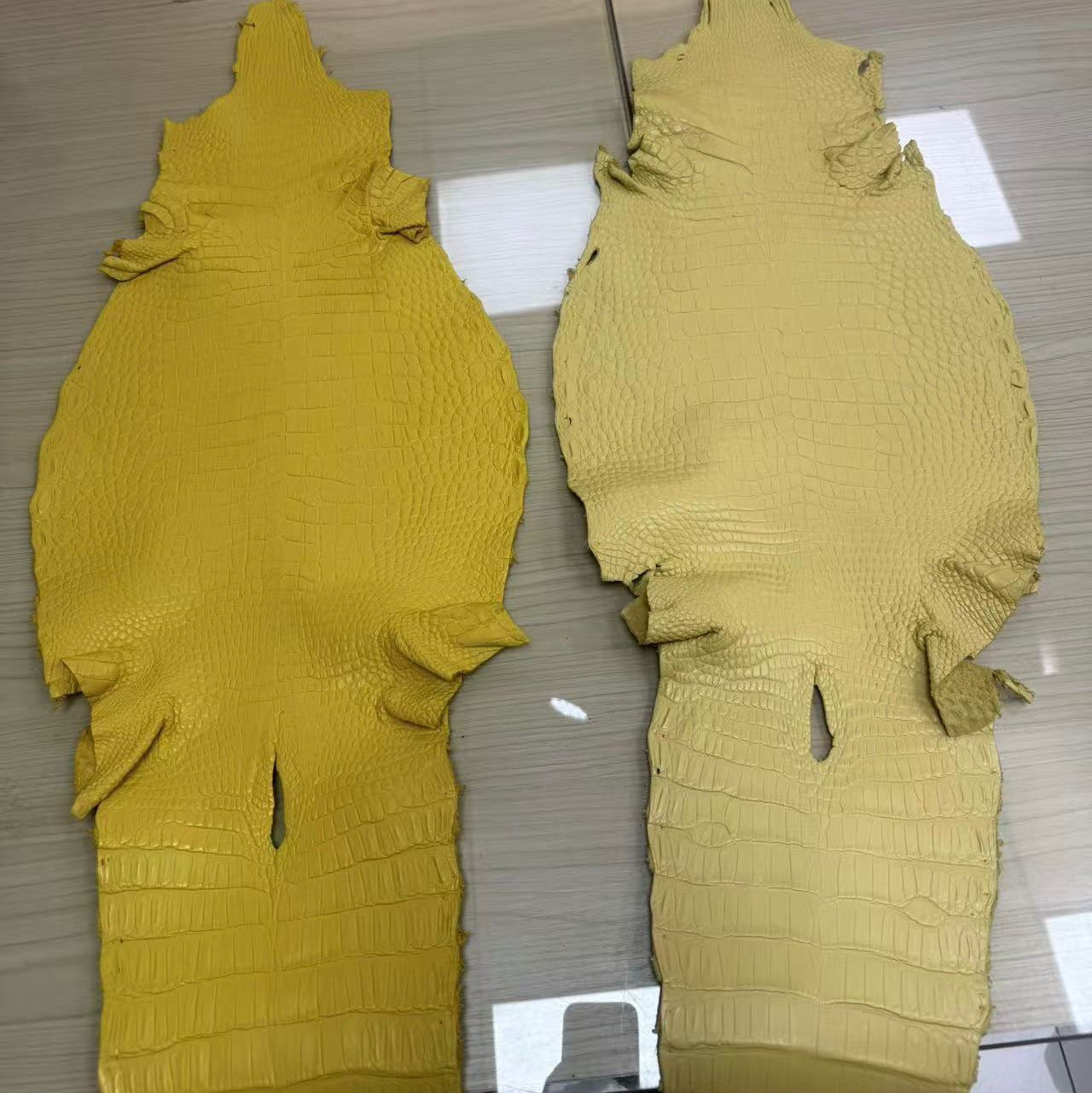 Matte-Finished Gators - Sunny Exotic Leathers