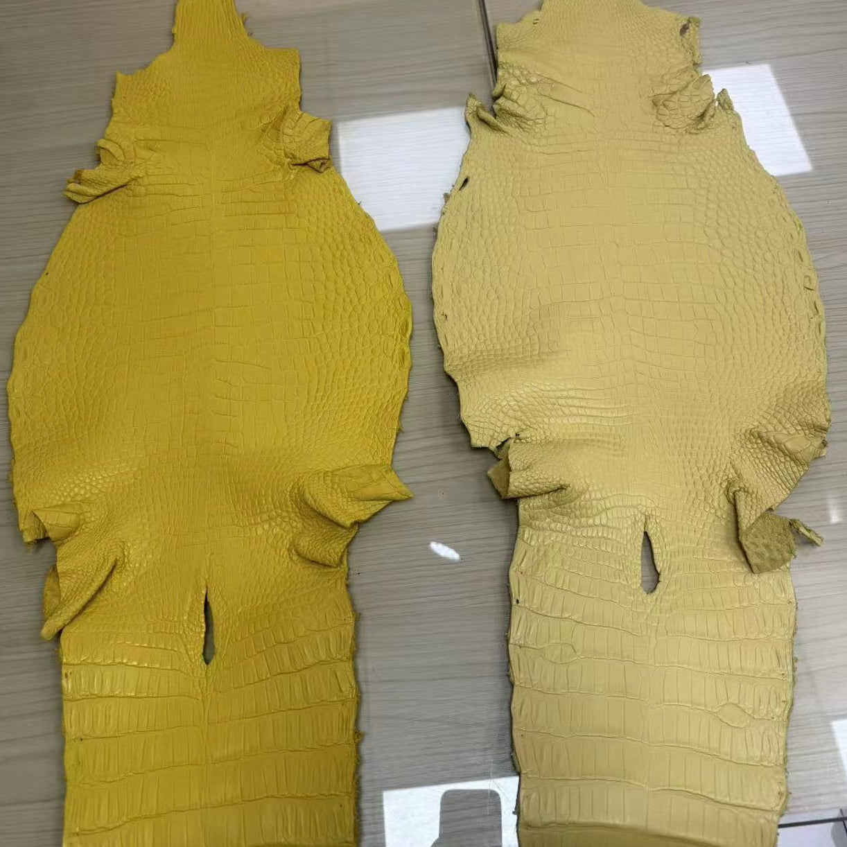 Matte-Finished Gators - Sunny Exotic Leathers