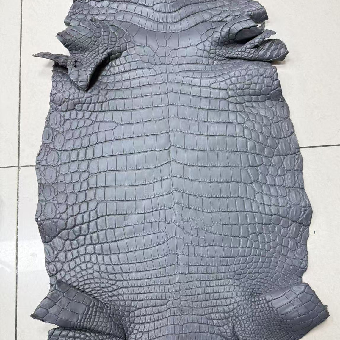 Matte-Finished Gator - Sunny Exotic Leathers