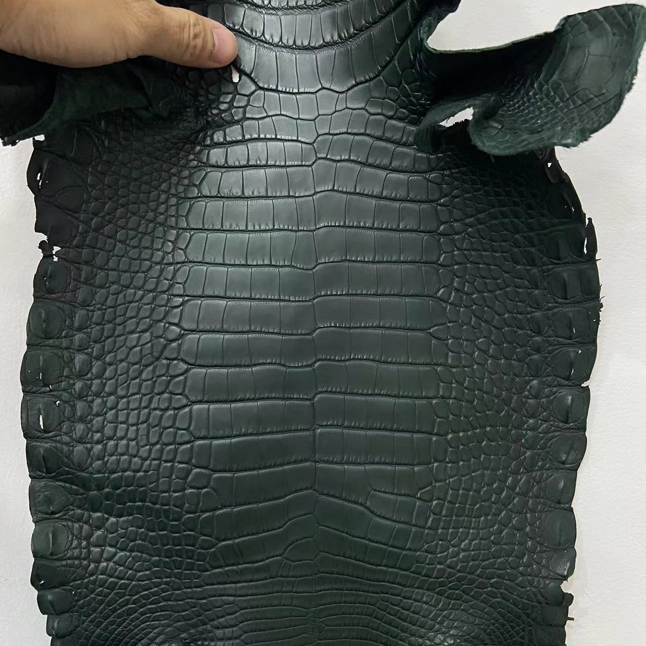 Matte-Finished Gator - Sunny Exotic Leathers