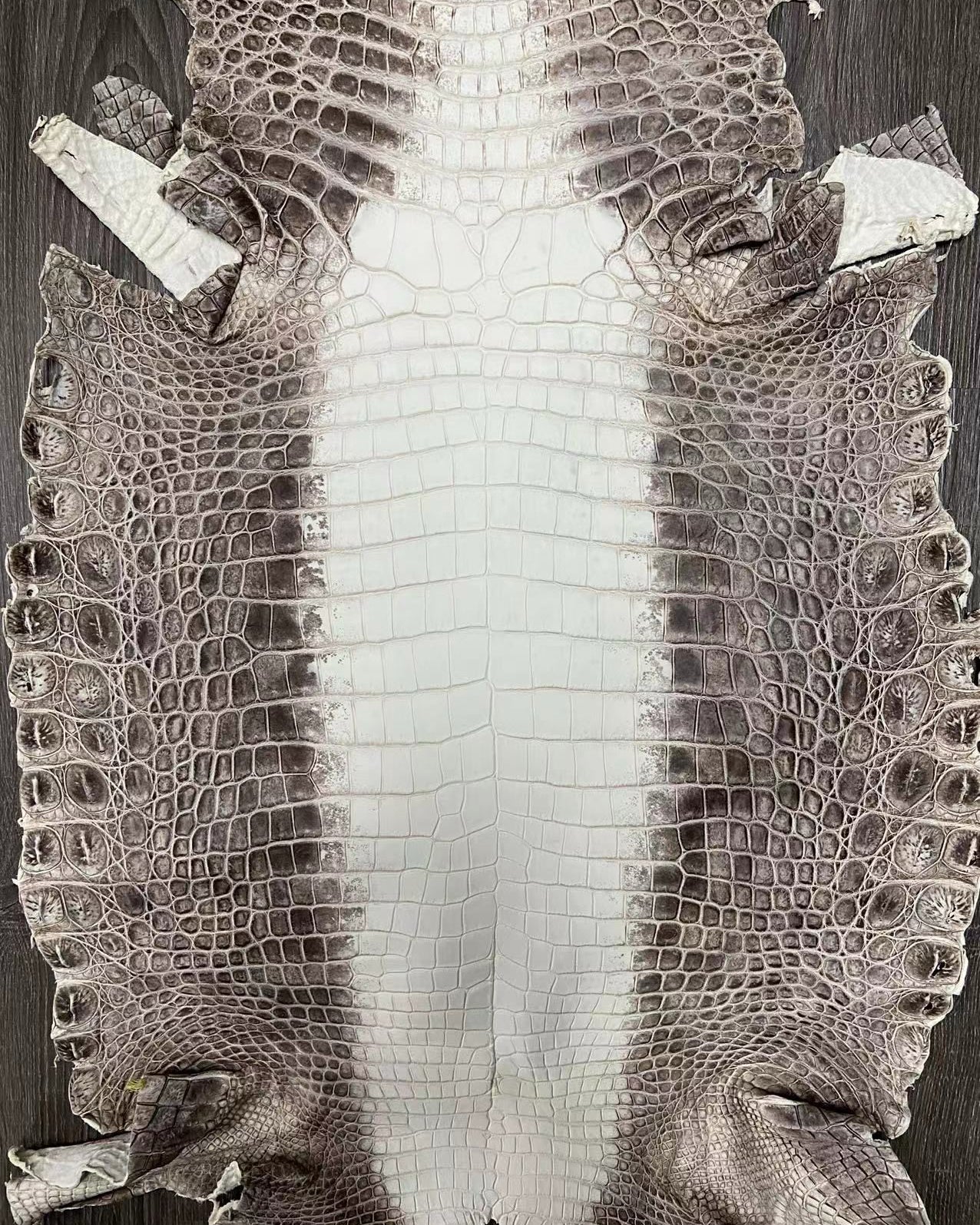 Himalayan Nilo Crocodile Matte Finish (Grade 1) - Sunny Exotic Leathers