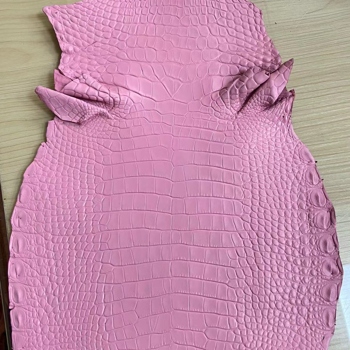 Matte Nile Crocodile
