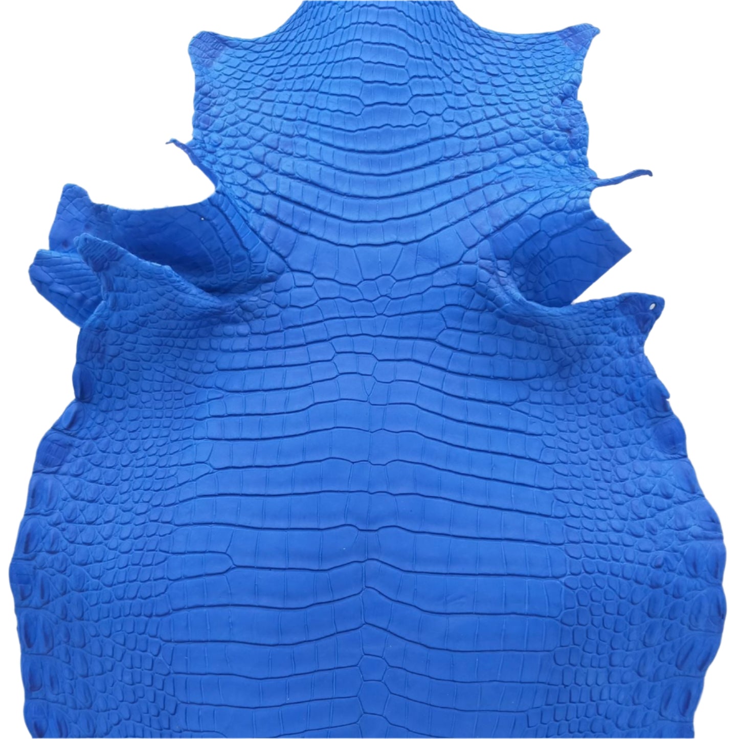 Exotic leather hides for crafts, genuine python leather for bags, high-quality leathercrafting materials, soft nubuck alligator leather, exotic leather for fashion accessories, custom leather skins for upholstery, durable crocodile leather wallets, bespok