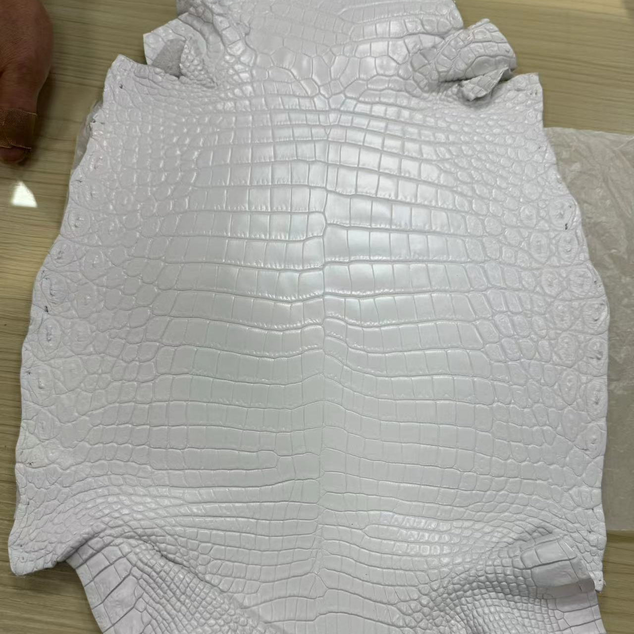 Matte Nile Crocodile
