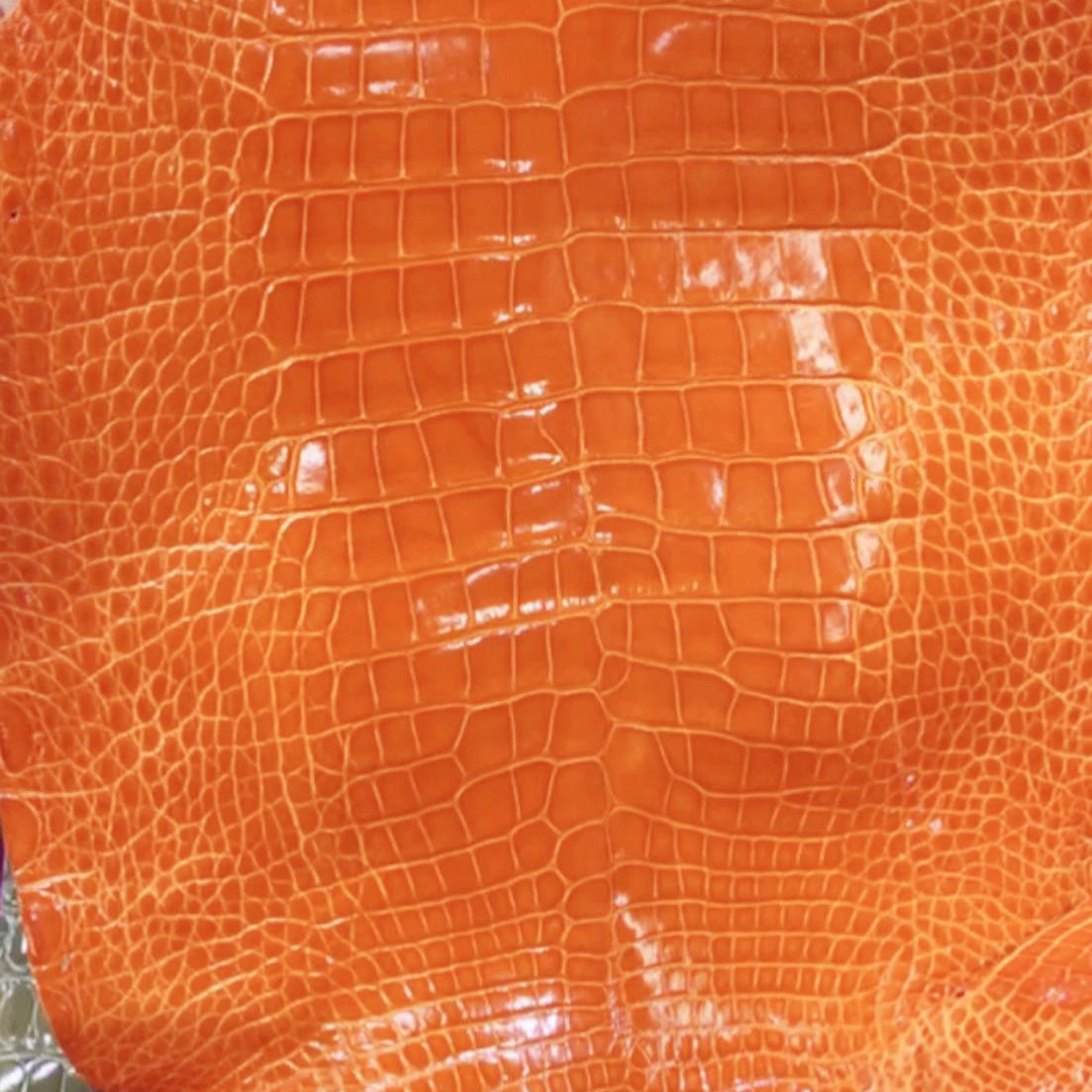 Glazed Shiny Gators - Sunny Exotic Leathers