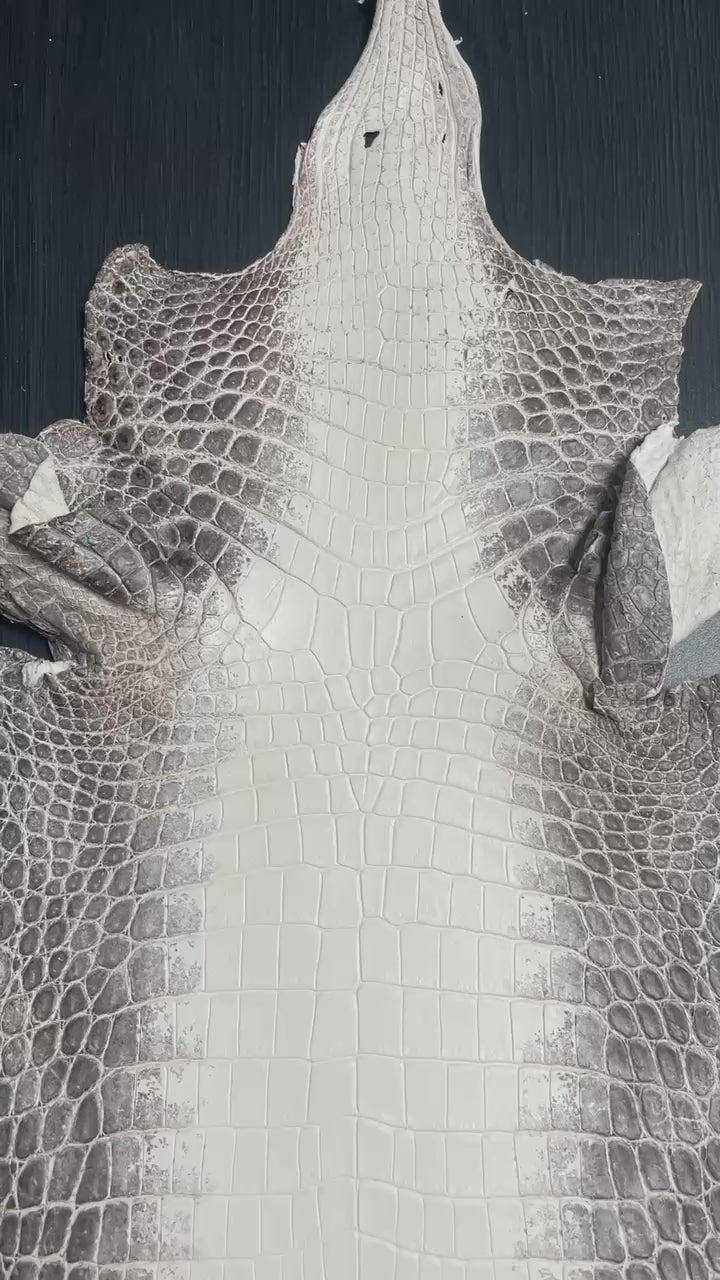  Genuine White Himalayan Crocodile Alligator Leather