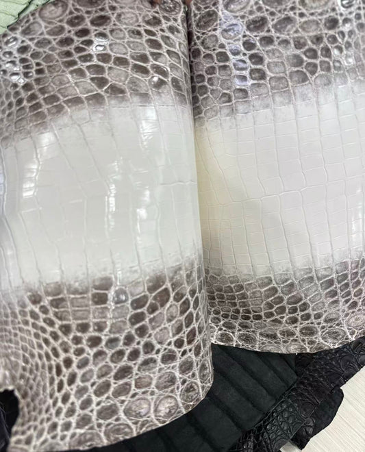 Own the Unattainable: Himalayan Crocodile Leather