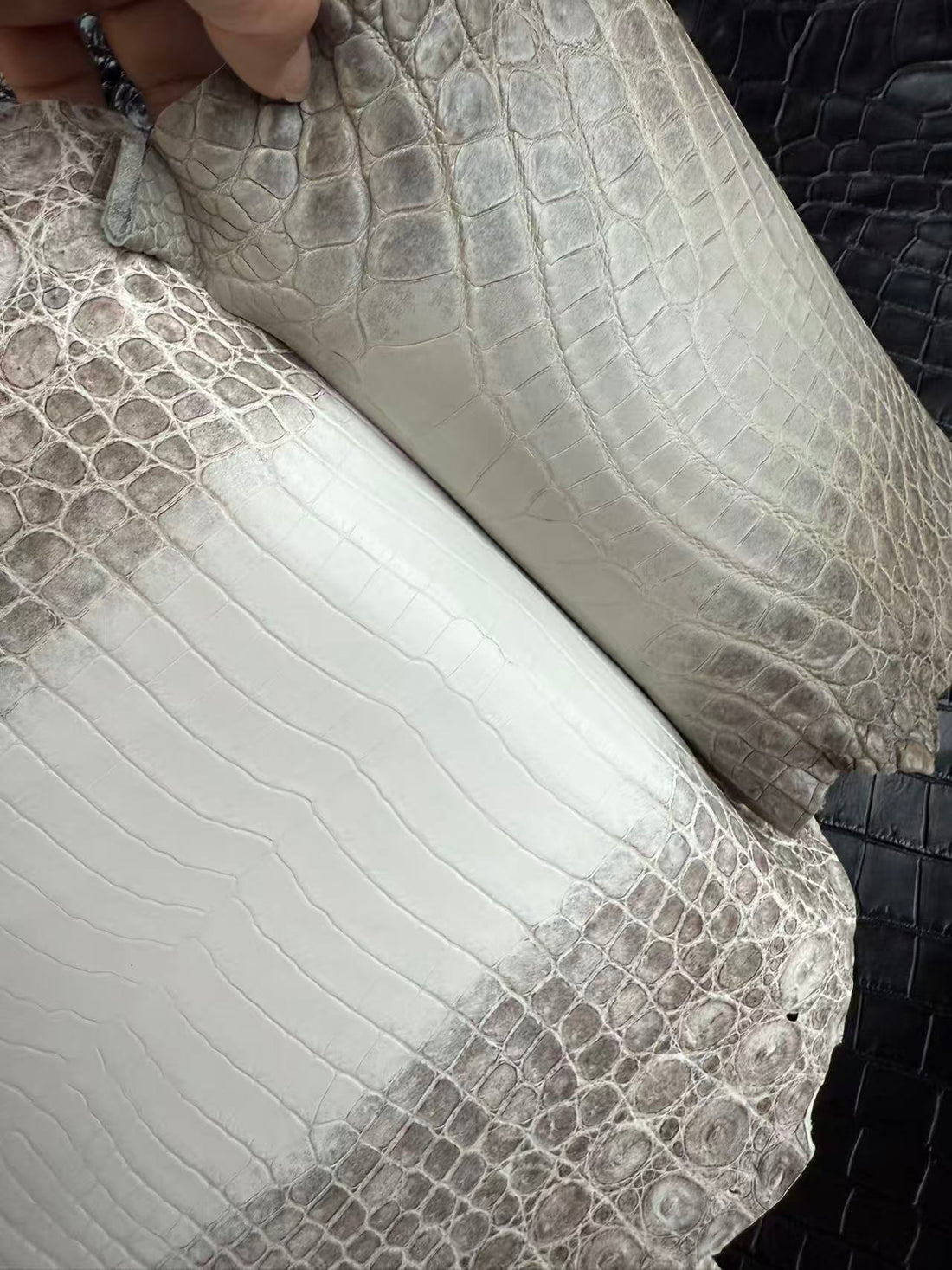 Why are Himalayan Crocodile Exotic Leather Skins so Expensive?