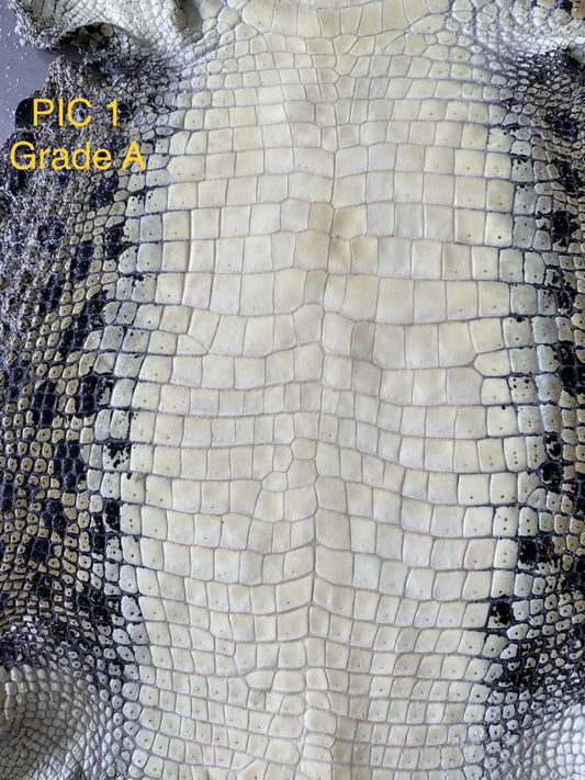 Crocodile Leather Use in Luxury Fashion - Hermes Case Study