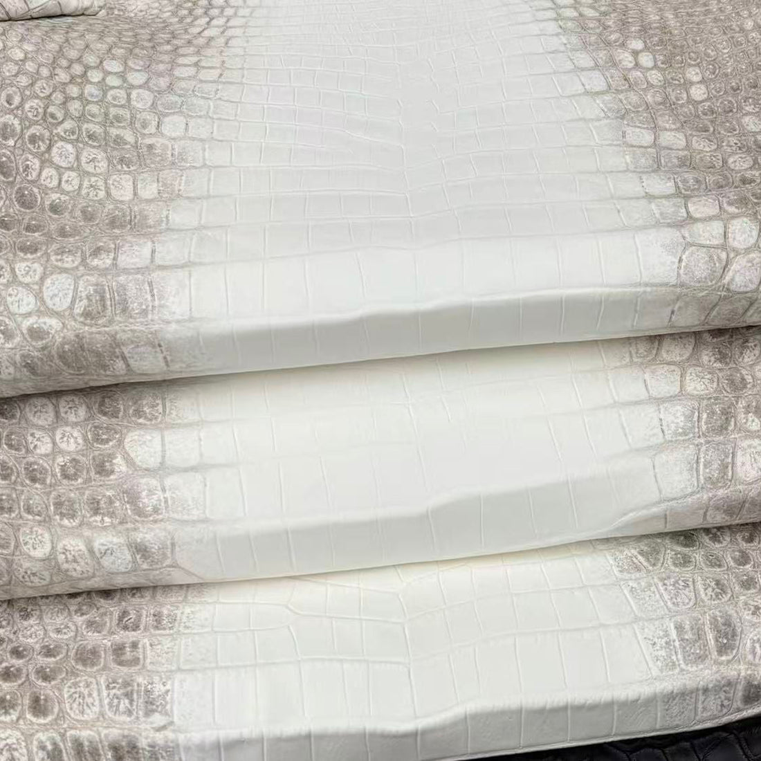 Ready to Save for X'mas Holidays & Create With Millennium Finished Himalayan Crocodile?